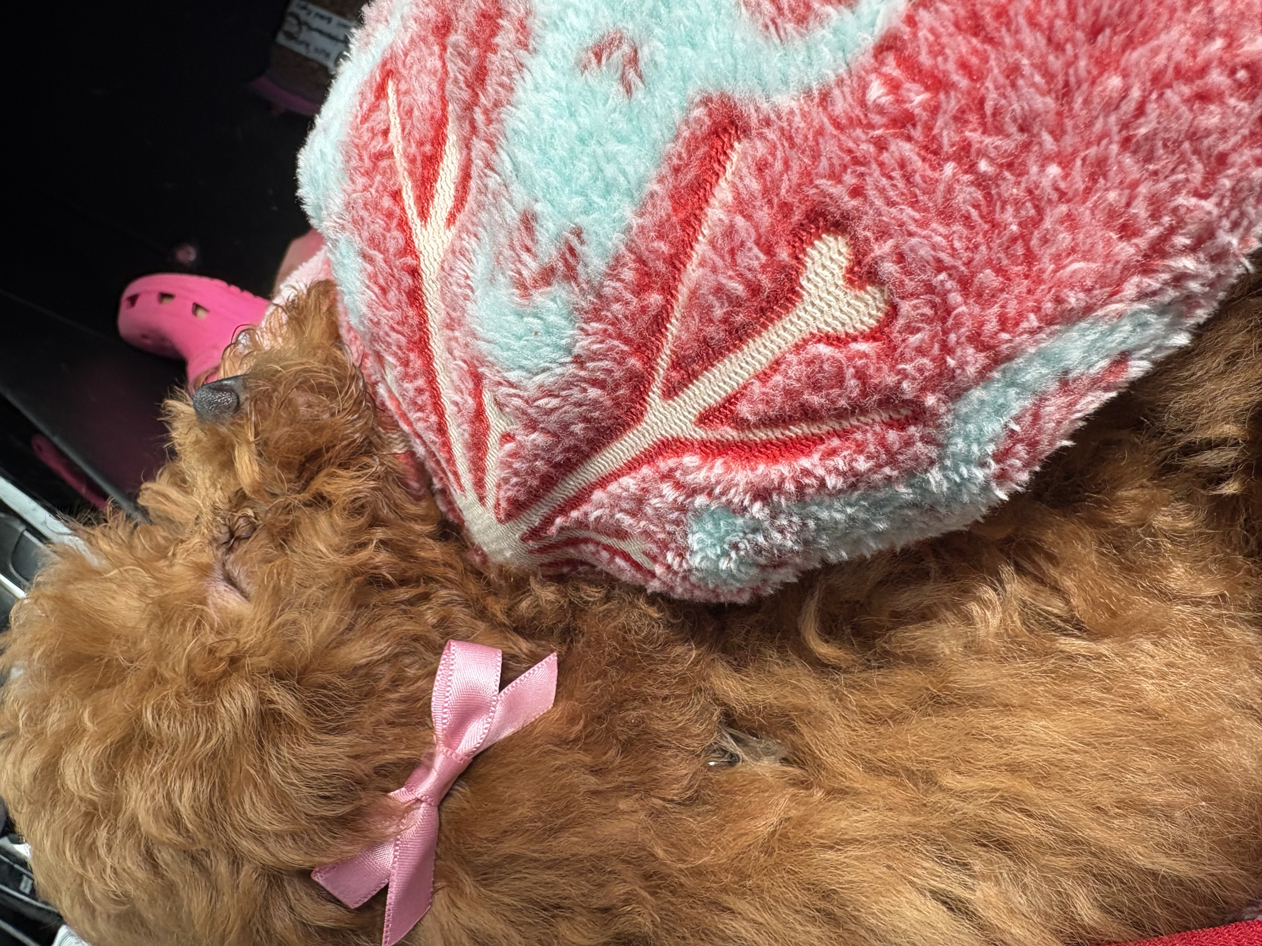 Photo Review Submission from Myla M