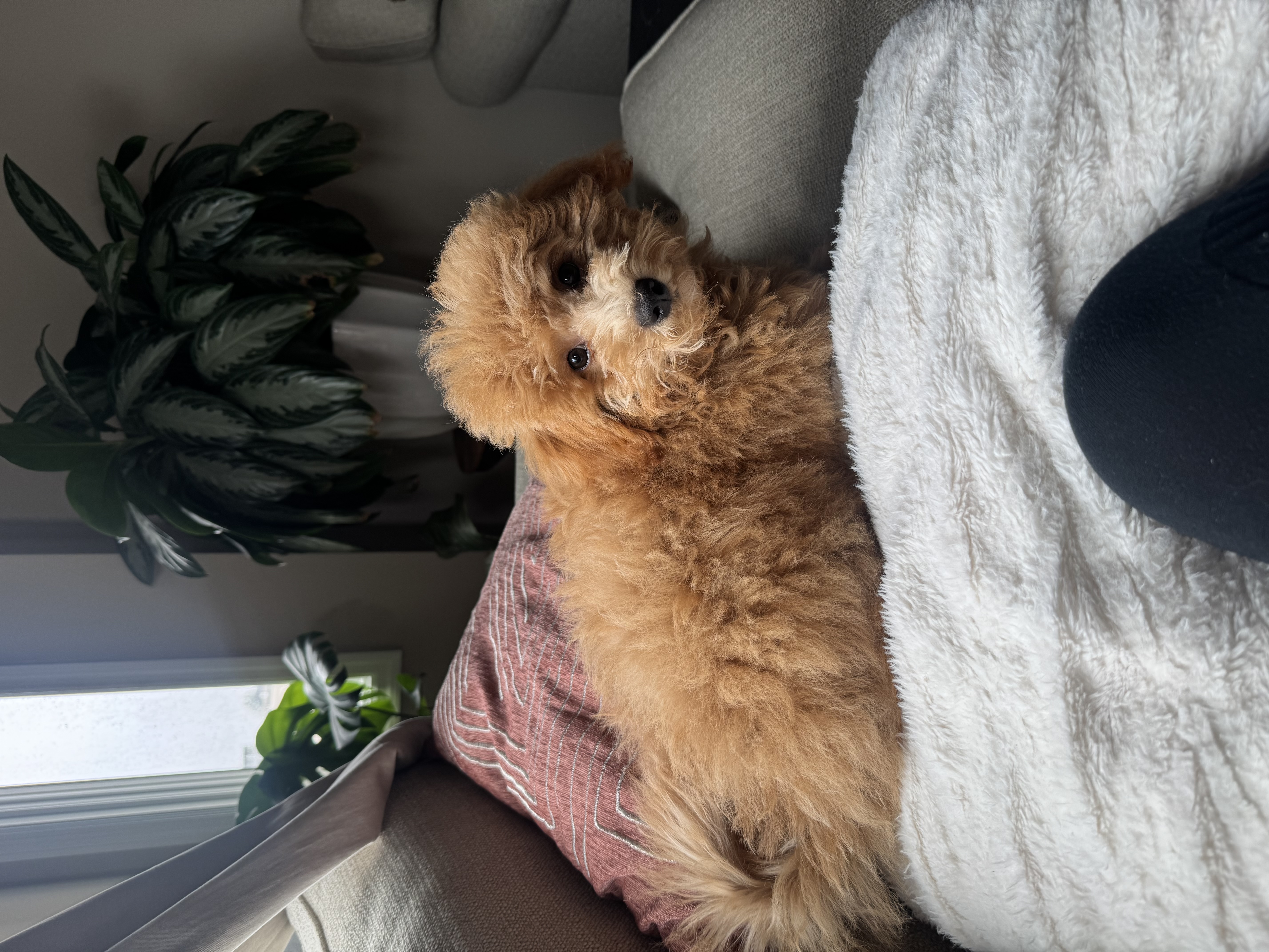 Photo Review Submission from Arianna Amezquita