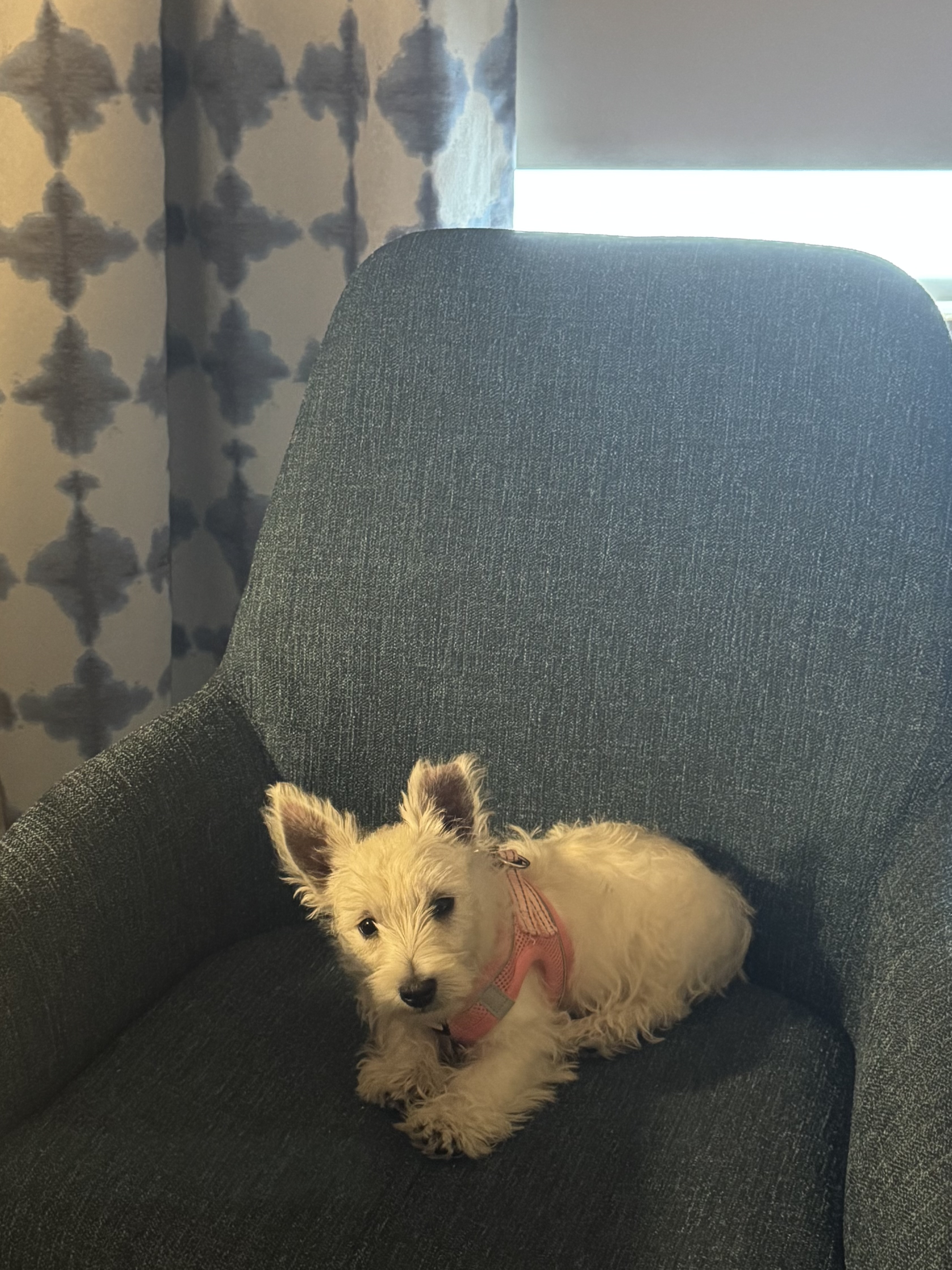 Photo Review Submission from Darla Tucker