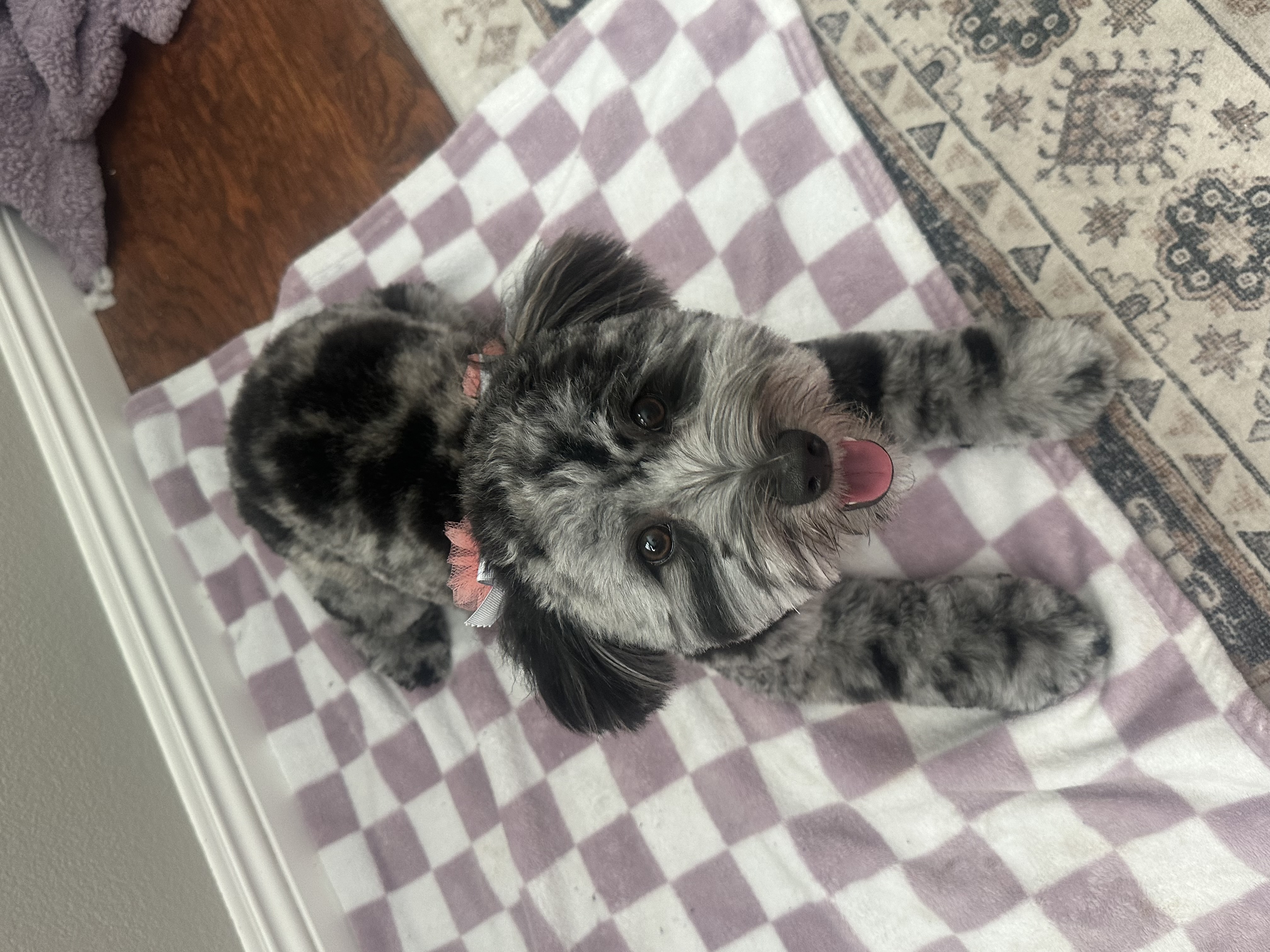 Photo Review Submission from Sarah McCauley