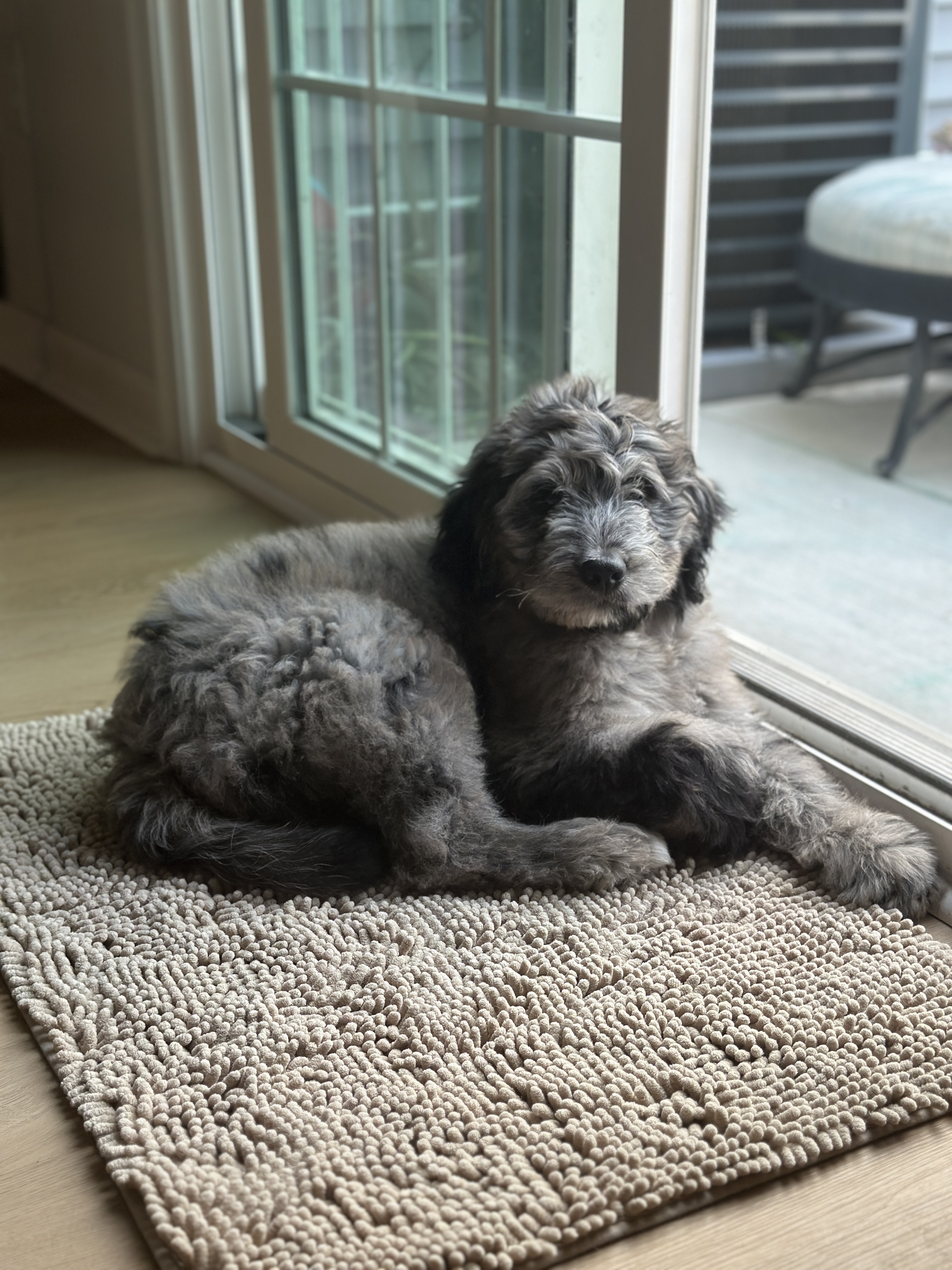 Photo Review Submission from Kelsi Grant