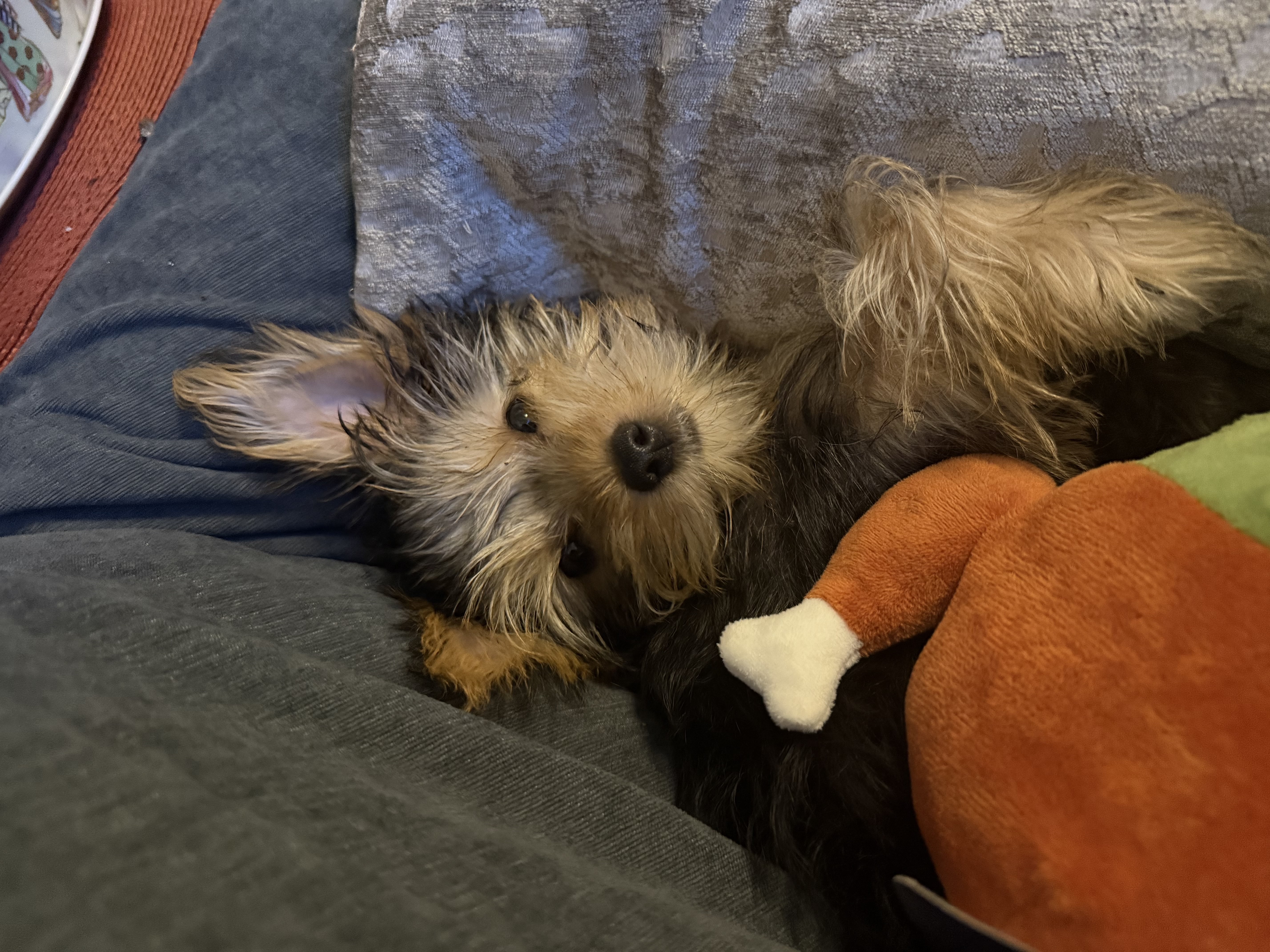 Photo Review Submission from Keily S