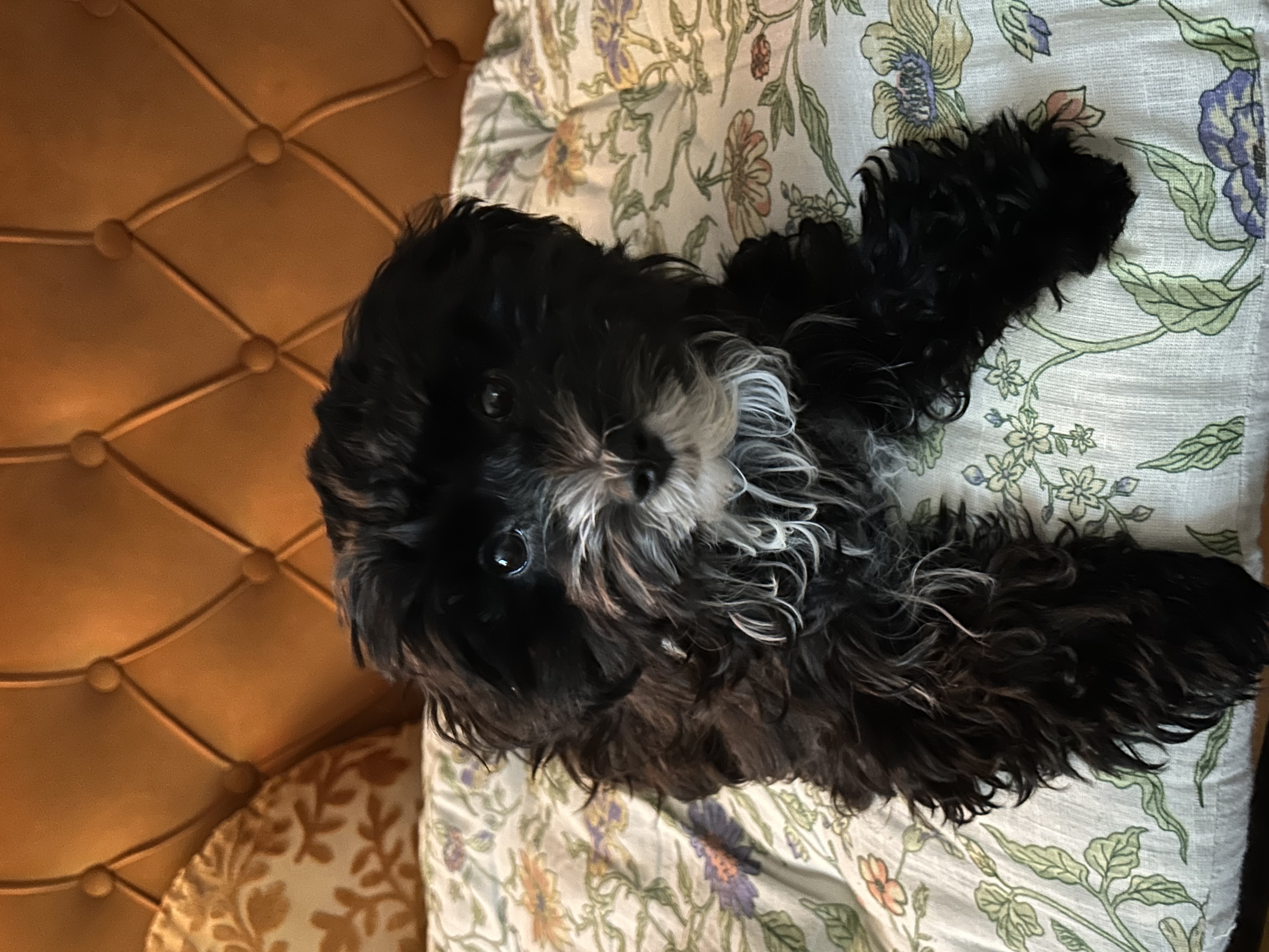 Photo Review Submission from Shannon Stevens