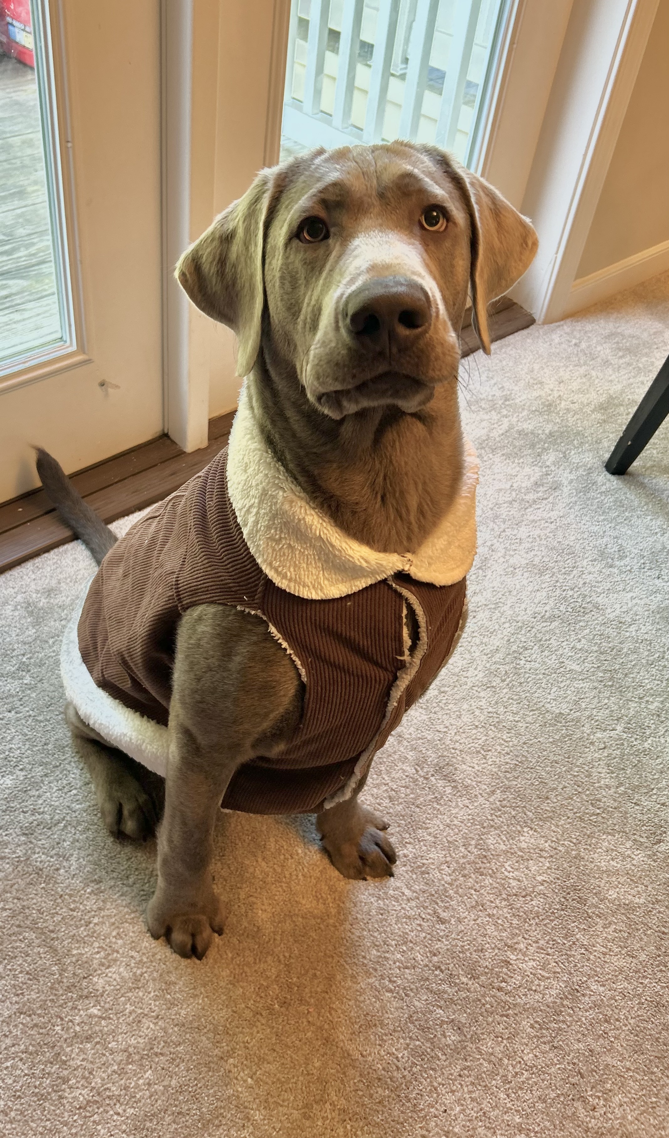 Photo Review Submission from Kelsey Harle