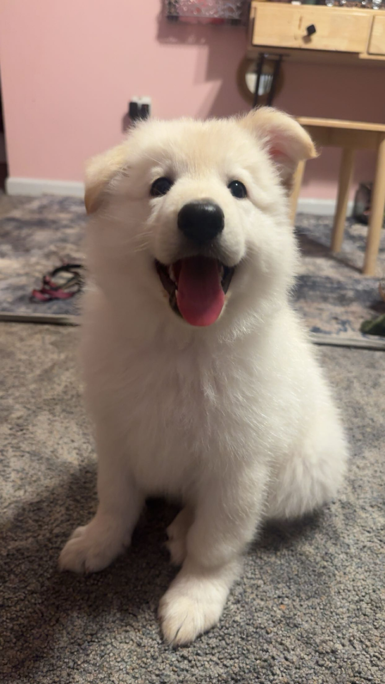 Photo Review Submission from Jess E