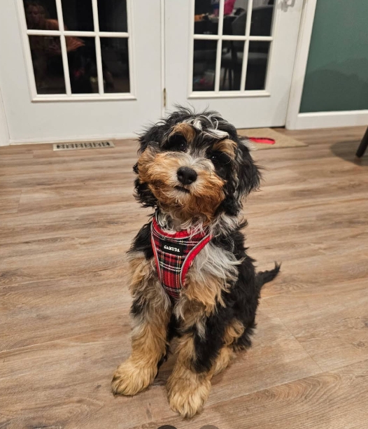 Photo Review Submission from Joel Sheffiled