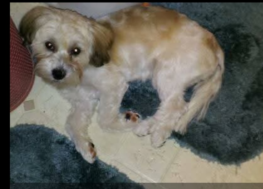 Photo Review Submission from Sandi Bridgett