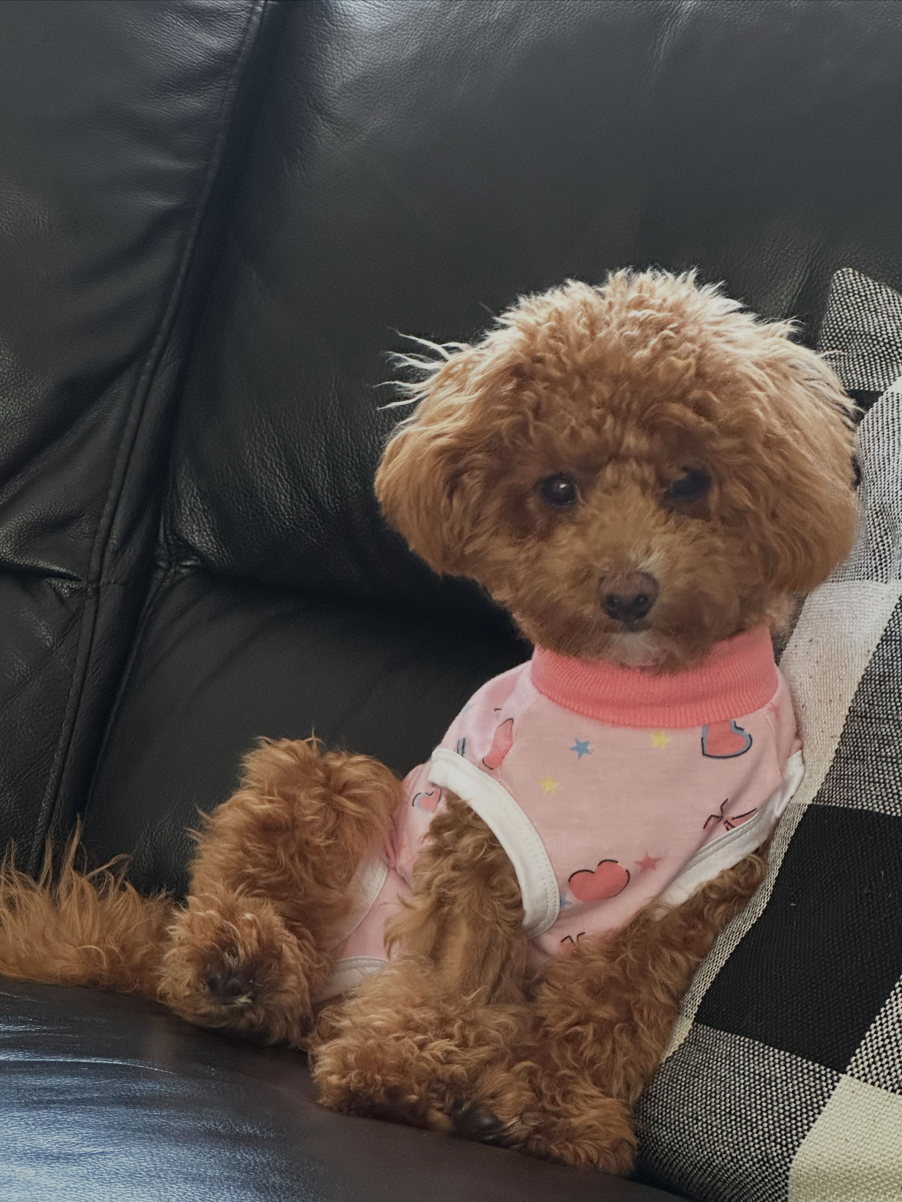 Photo Review Submission from Ana Carvalho