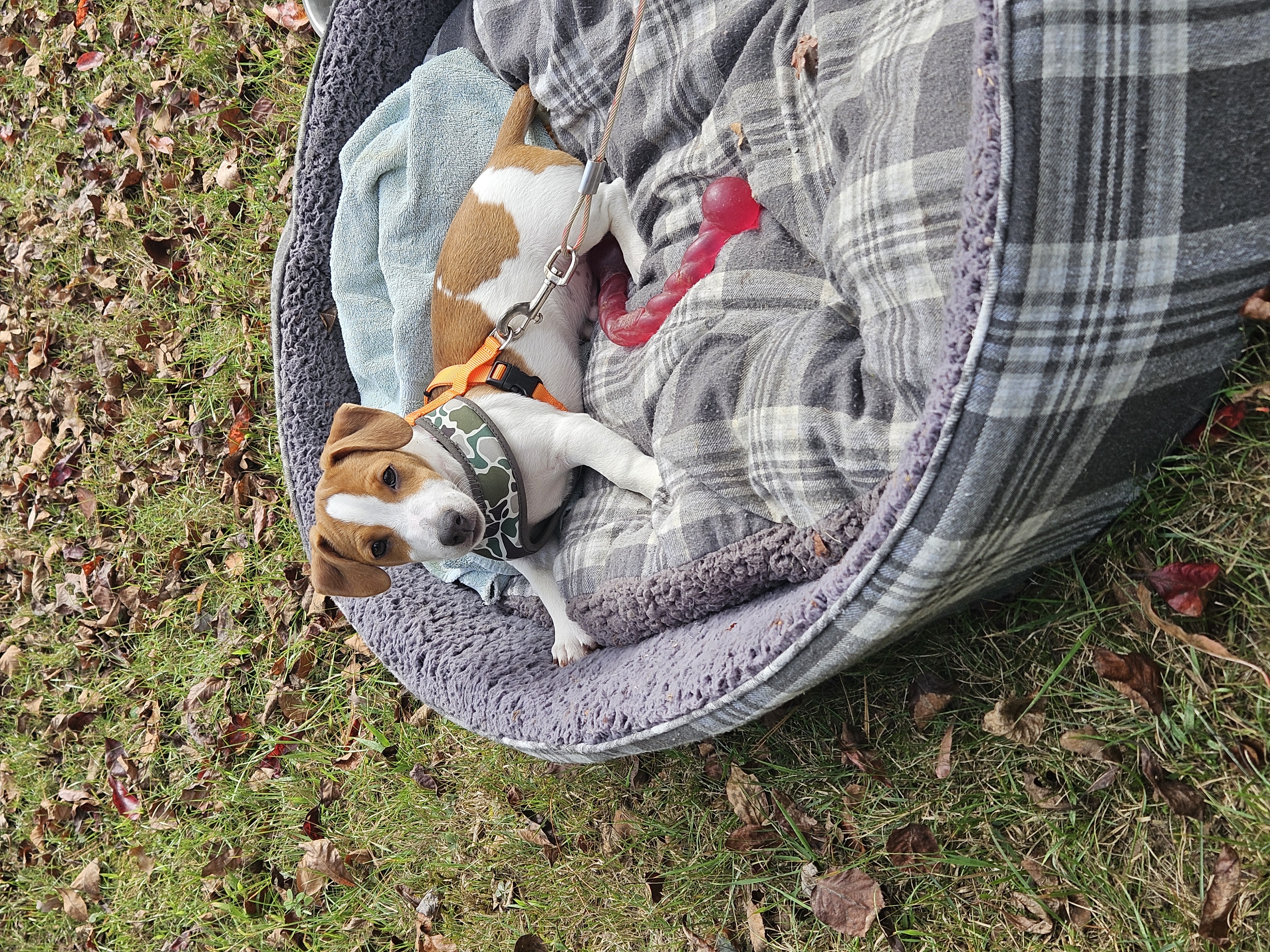 Photo Review Submission from Gail Waterhouse