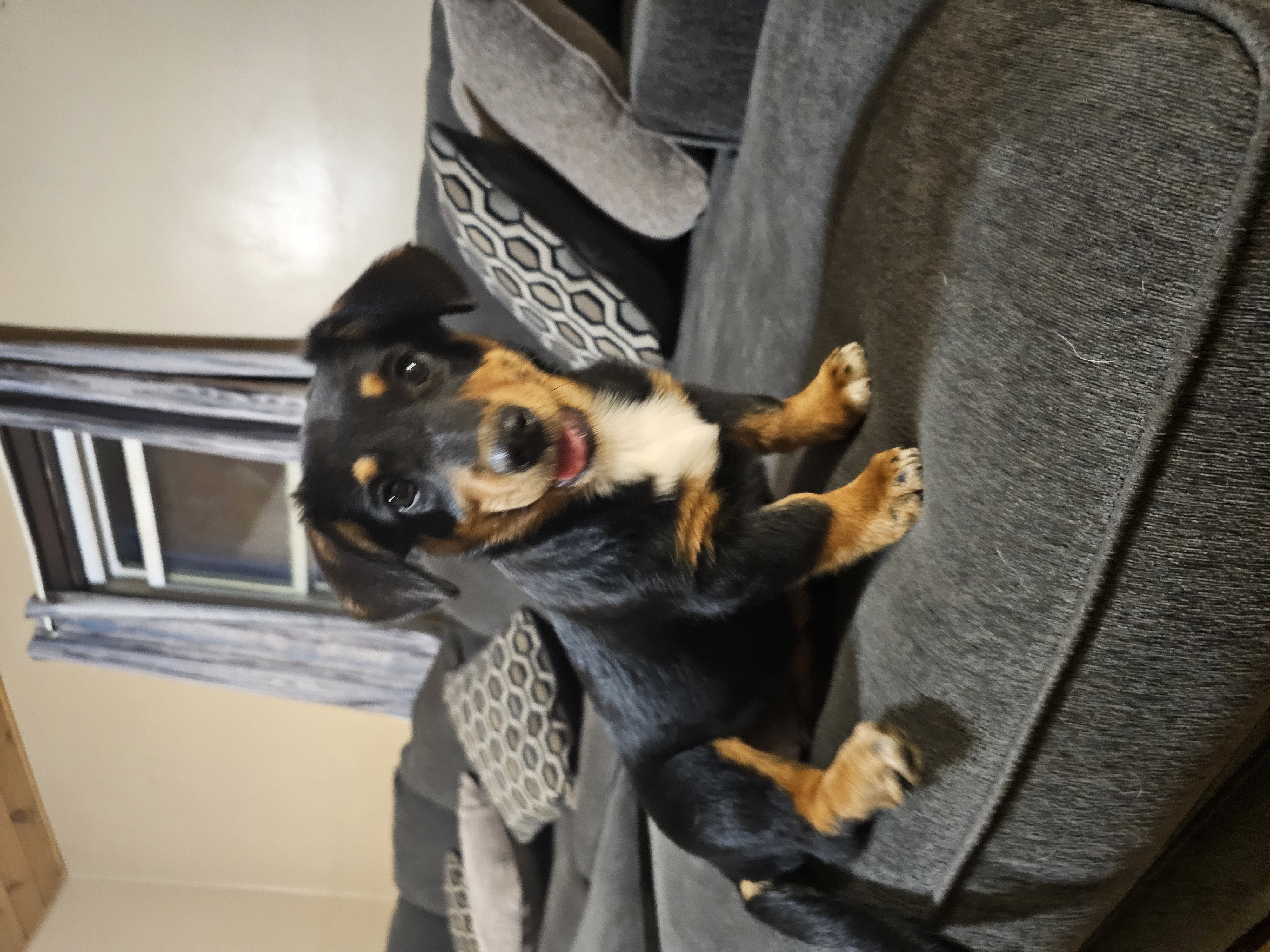 Photo Review Submission from Bobbi Jo Stankinas