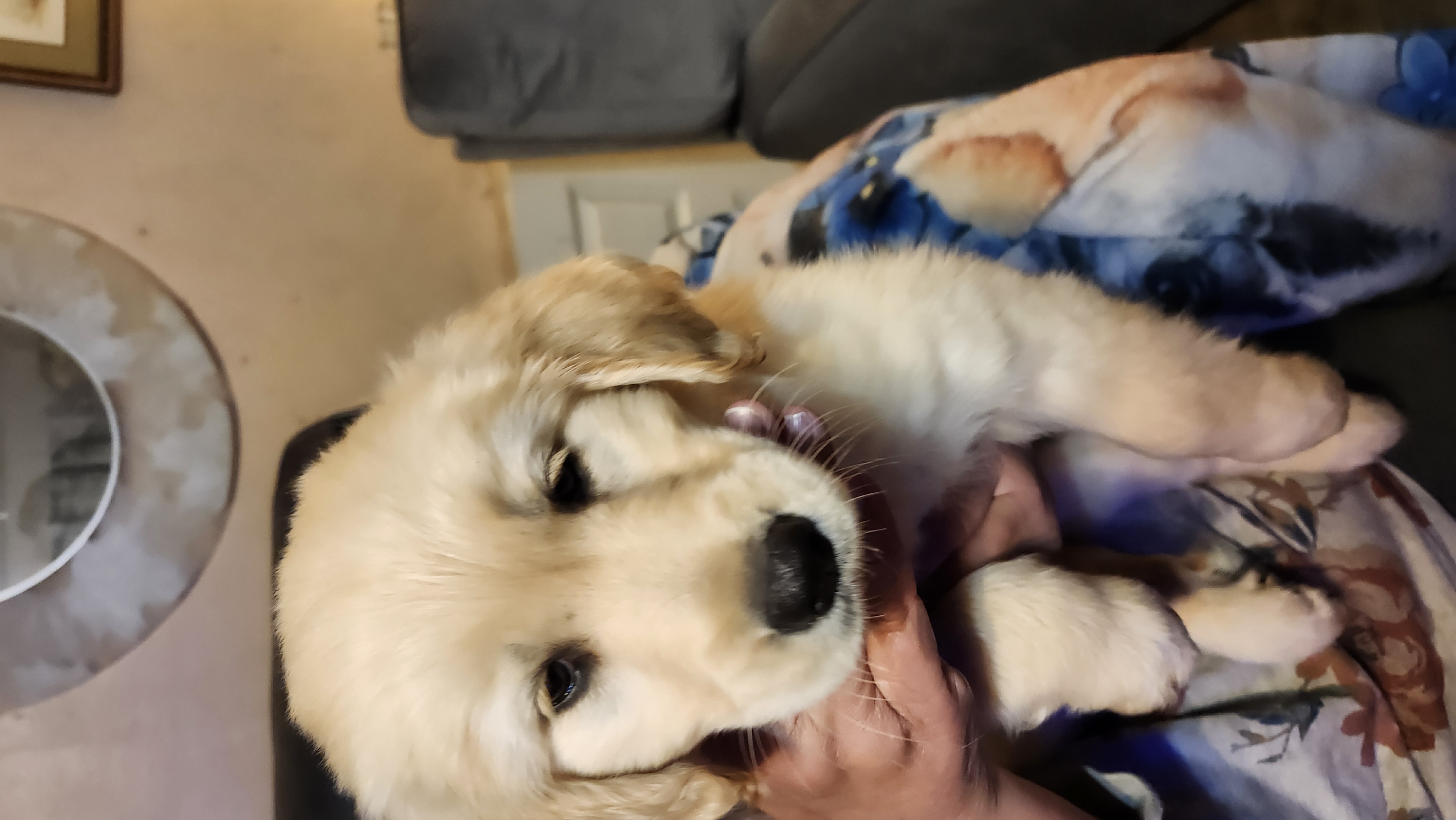 Photo Review Submission from Melissa McConnell