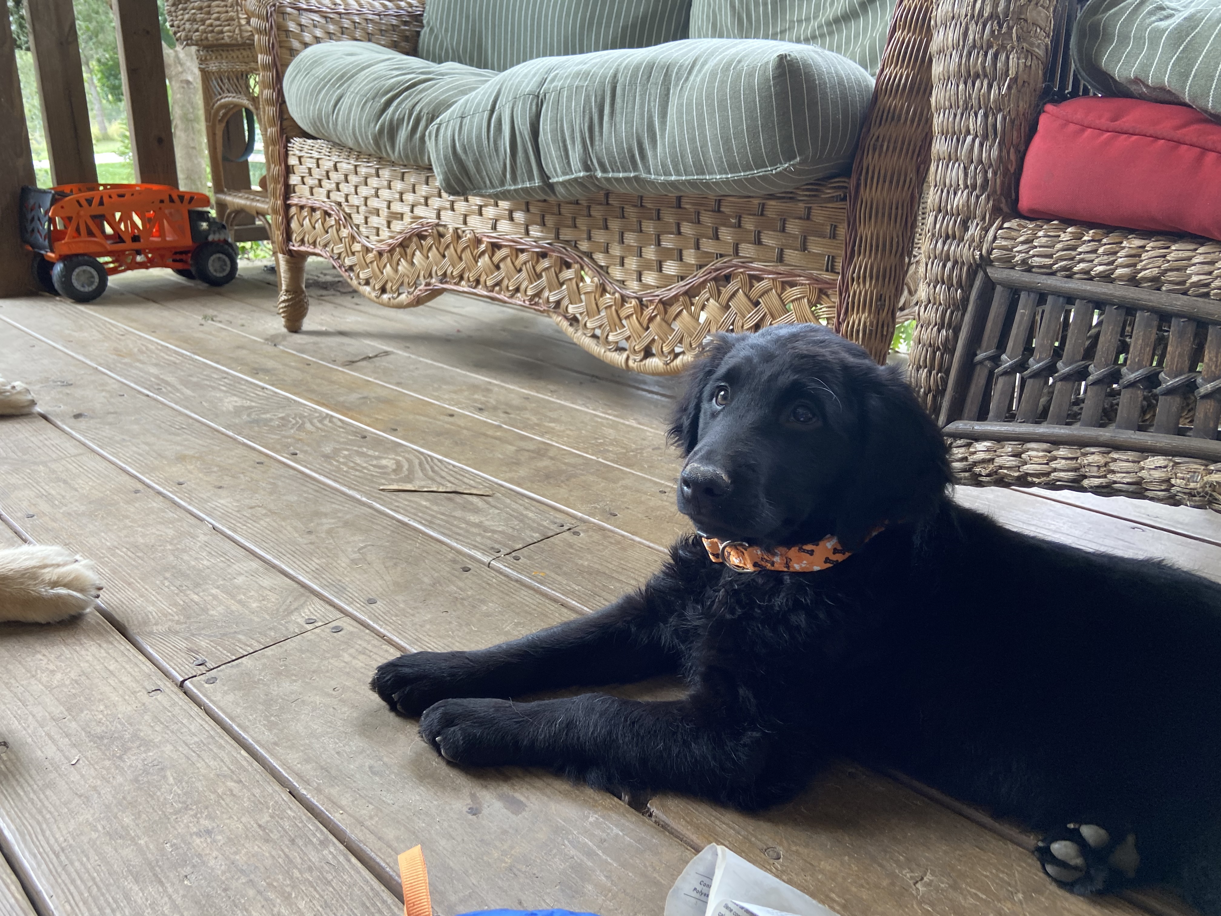 Photo Review Submission from Danielle Wood