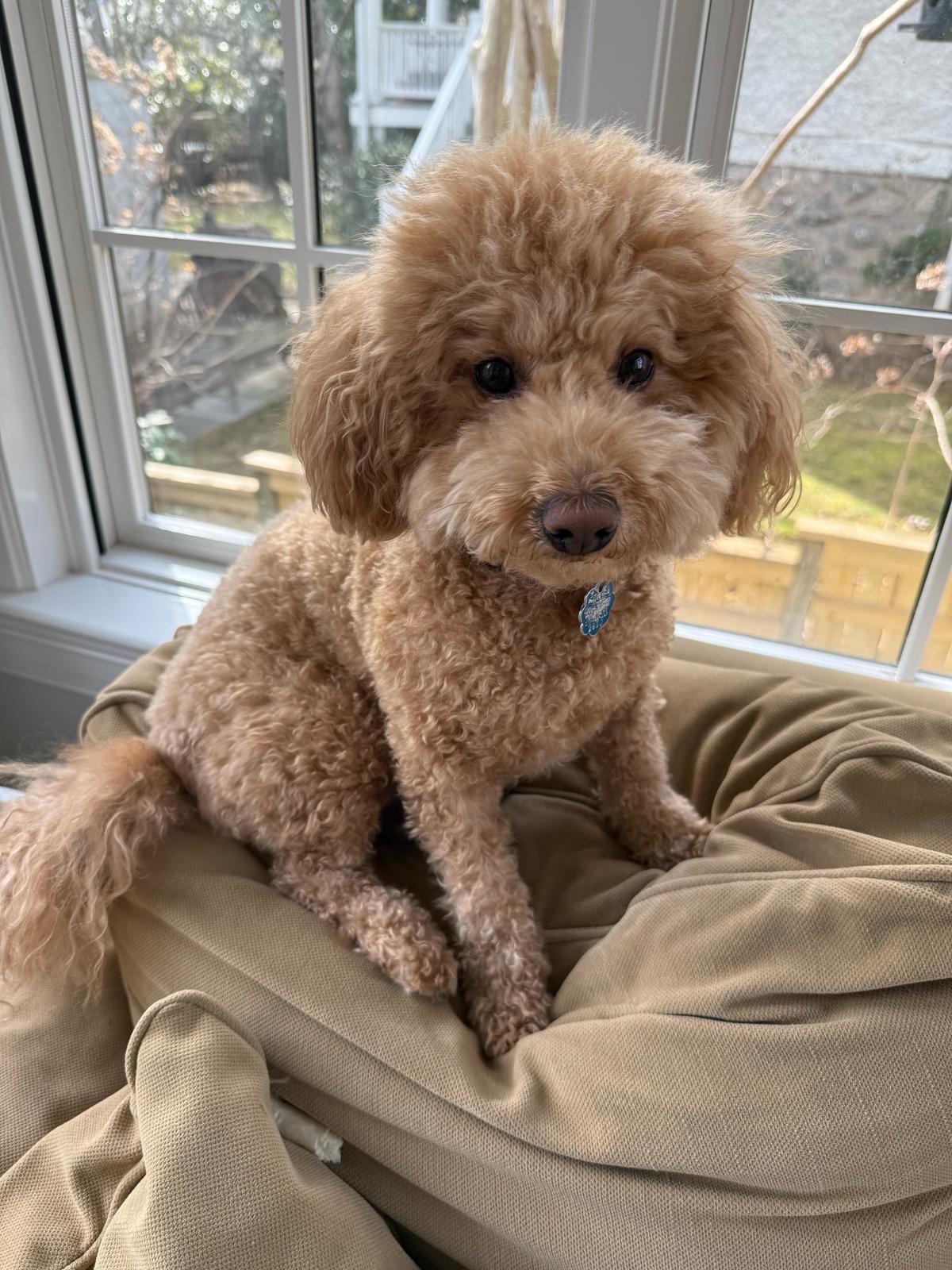 Photo Review Submission from Kiki Crecca