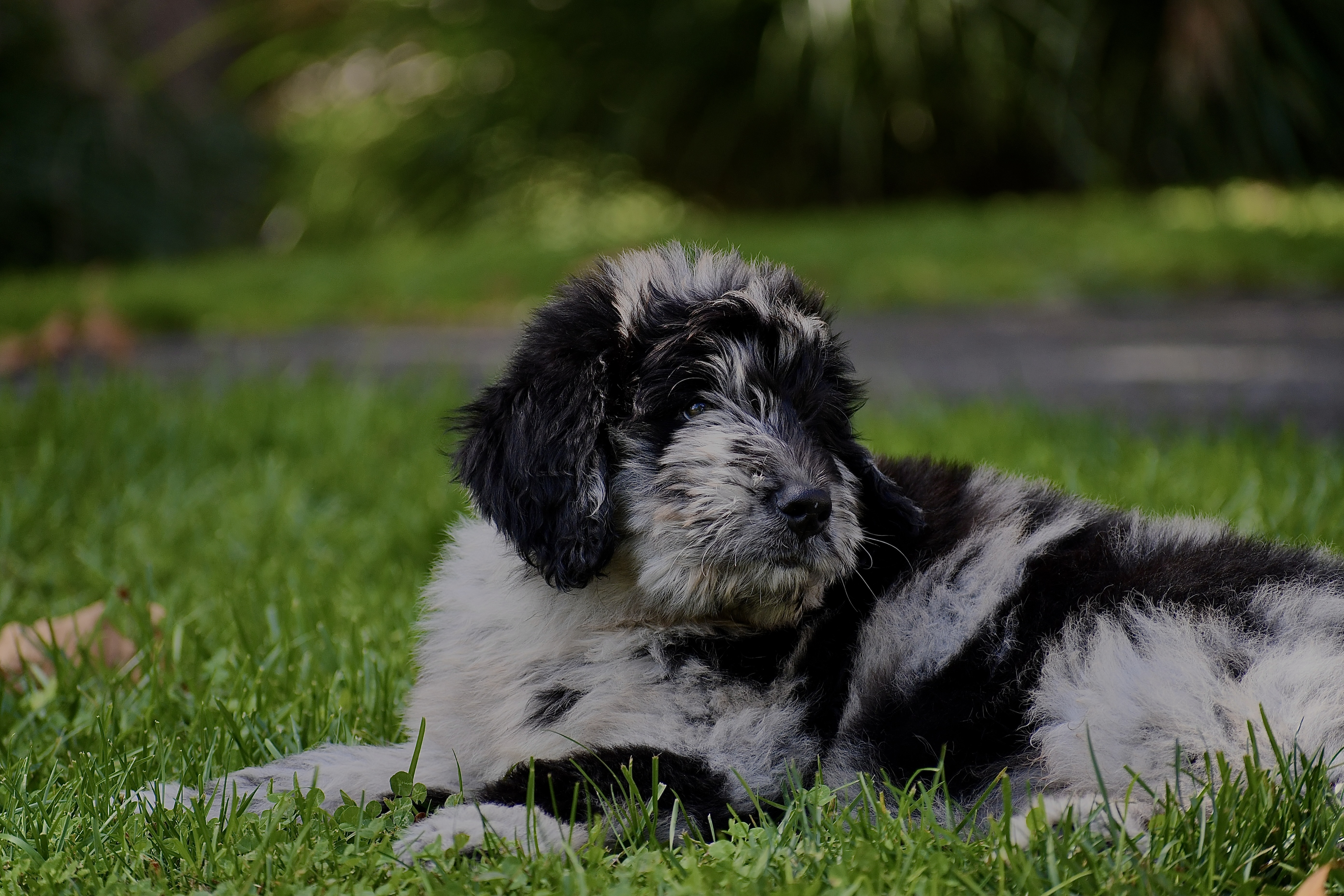 Photo Review Submission from Madison Lyons