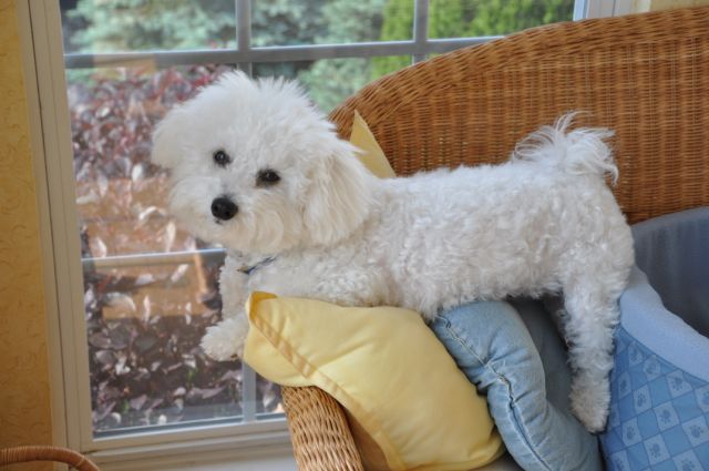 Photo Review Submission from Lorelei bittner