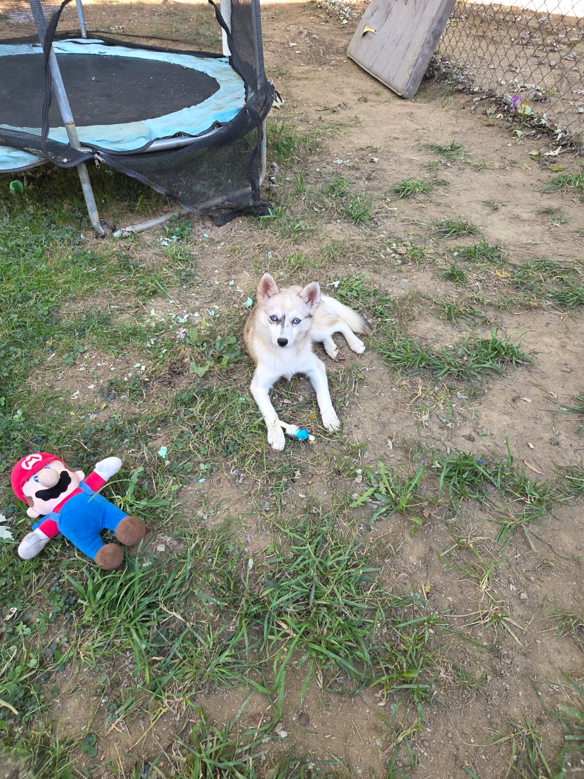 Photo Review Submission from Jinet Rosario