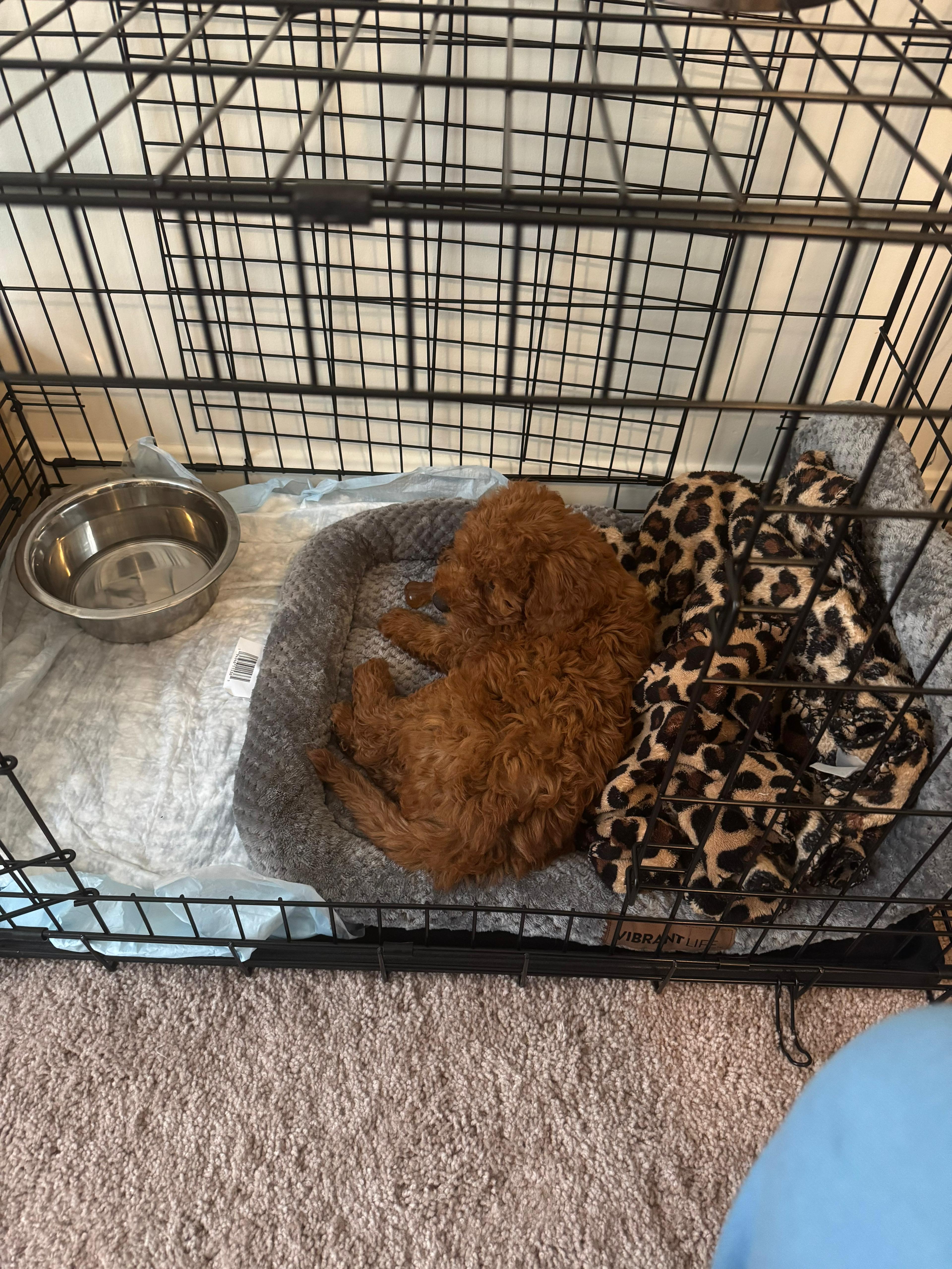 Photo Review Submission from Kareem Ali