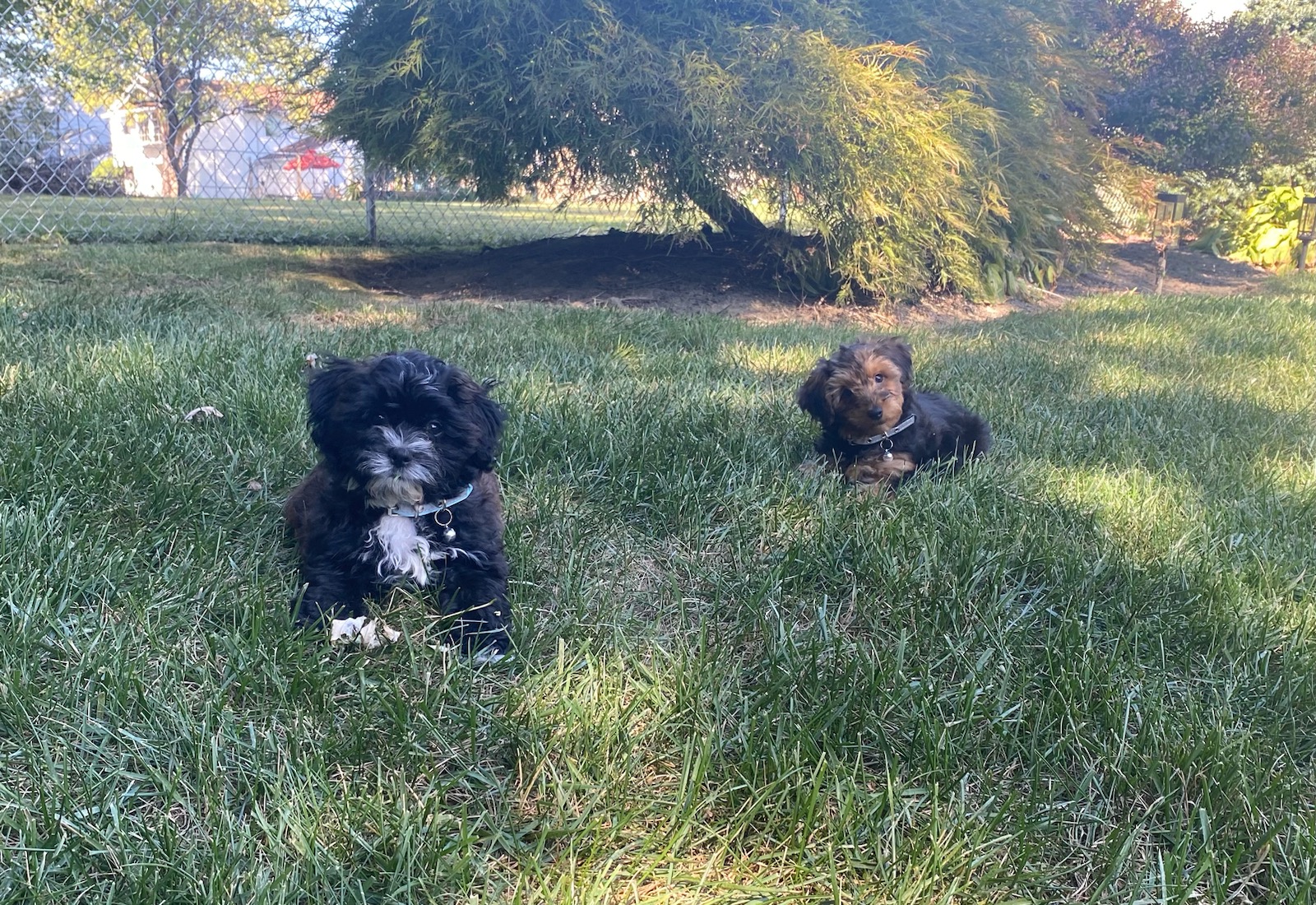 Photo Review Submission from Kelly Walker