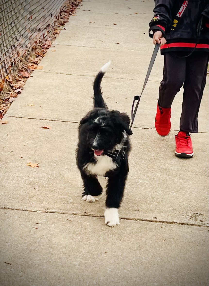 Photo Review Submission from N. Braga