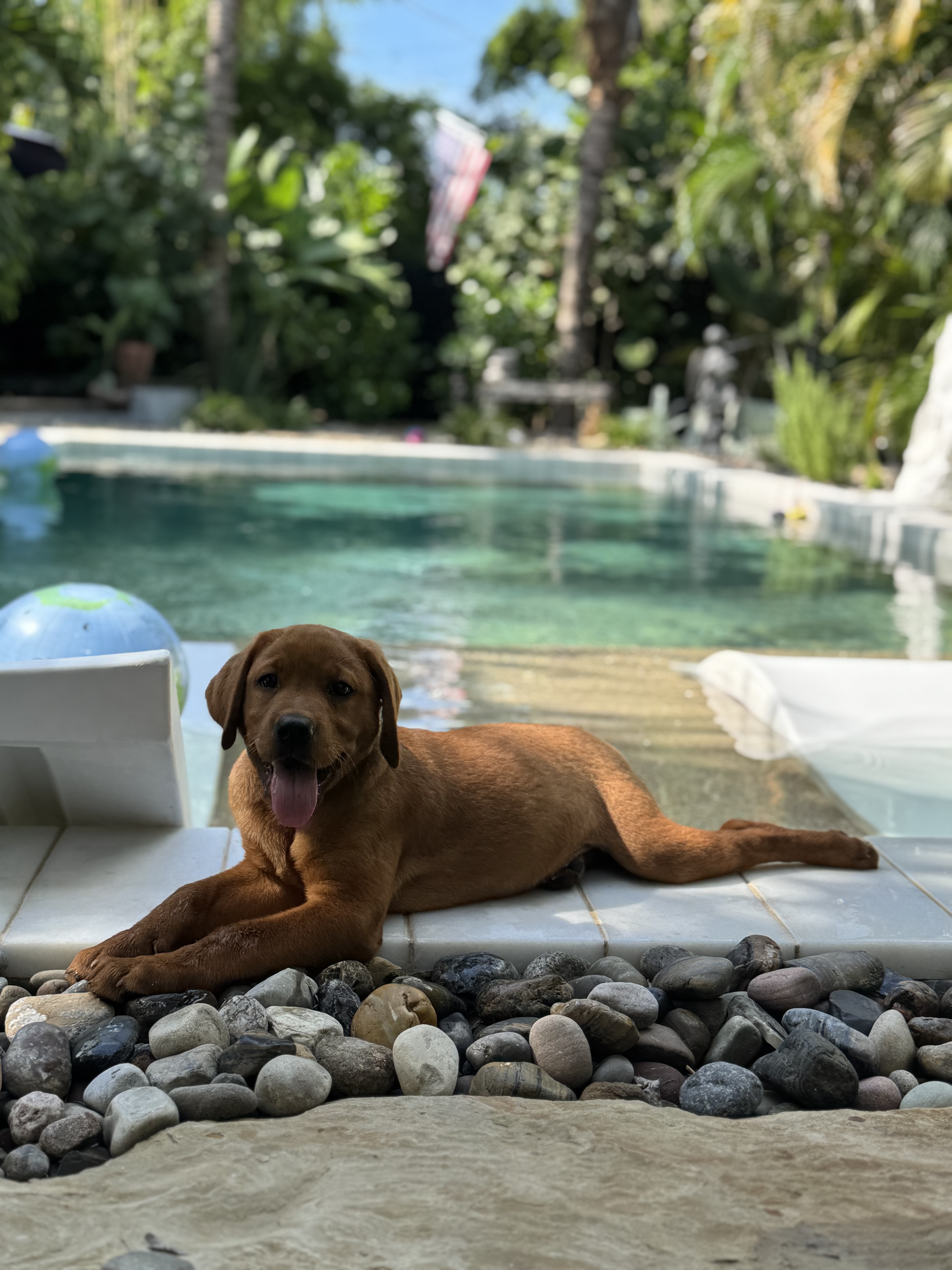 Photo Review Submission from Ashley Donohue