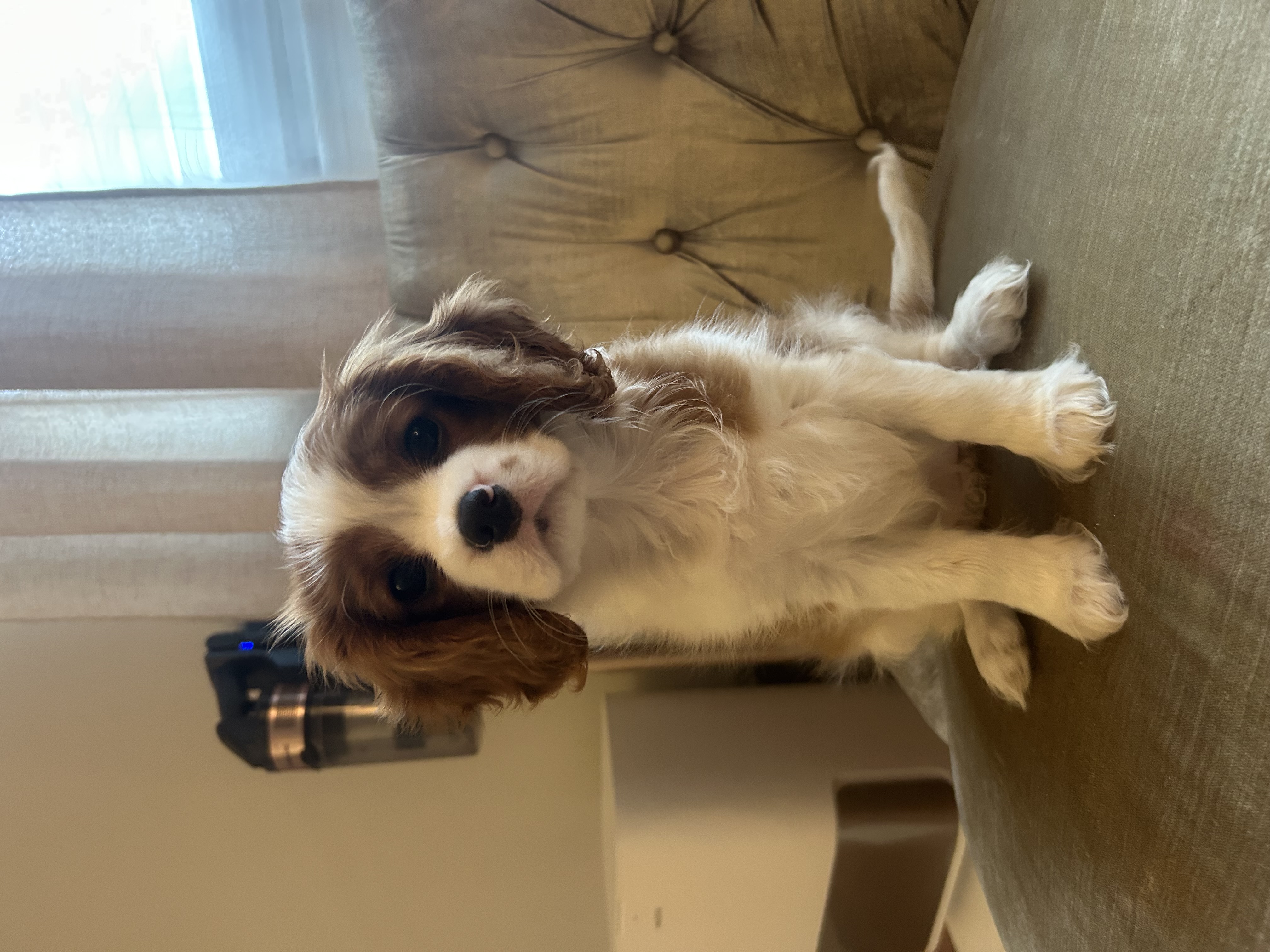 Photo Review Submission from Halyna Stepanenko