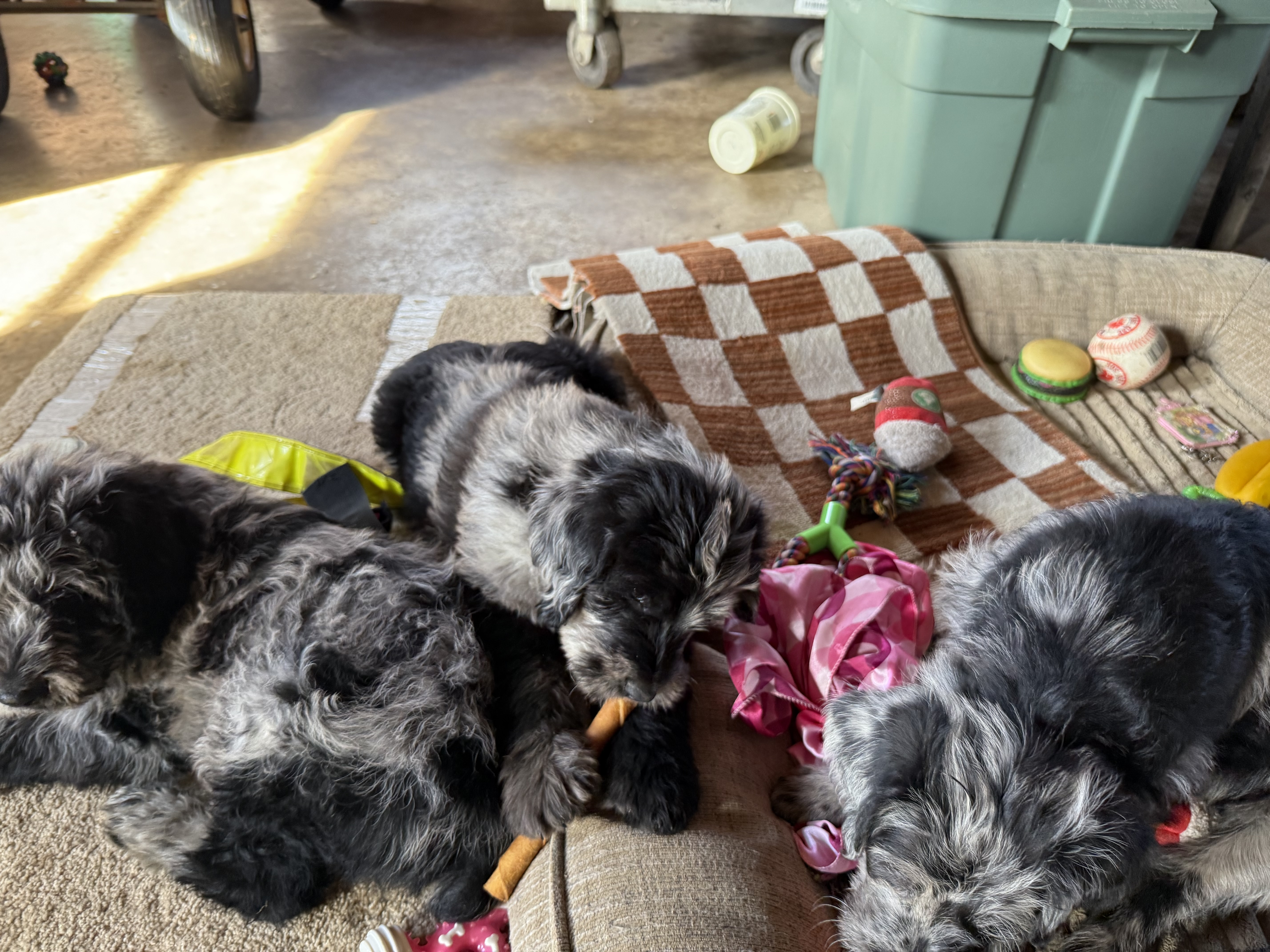 Photo Review Submission from Ty Thompson