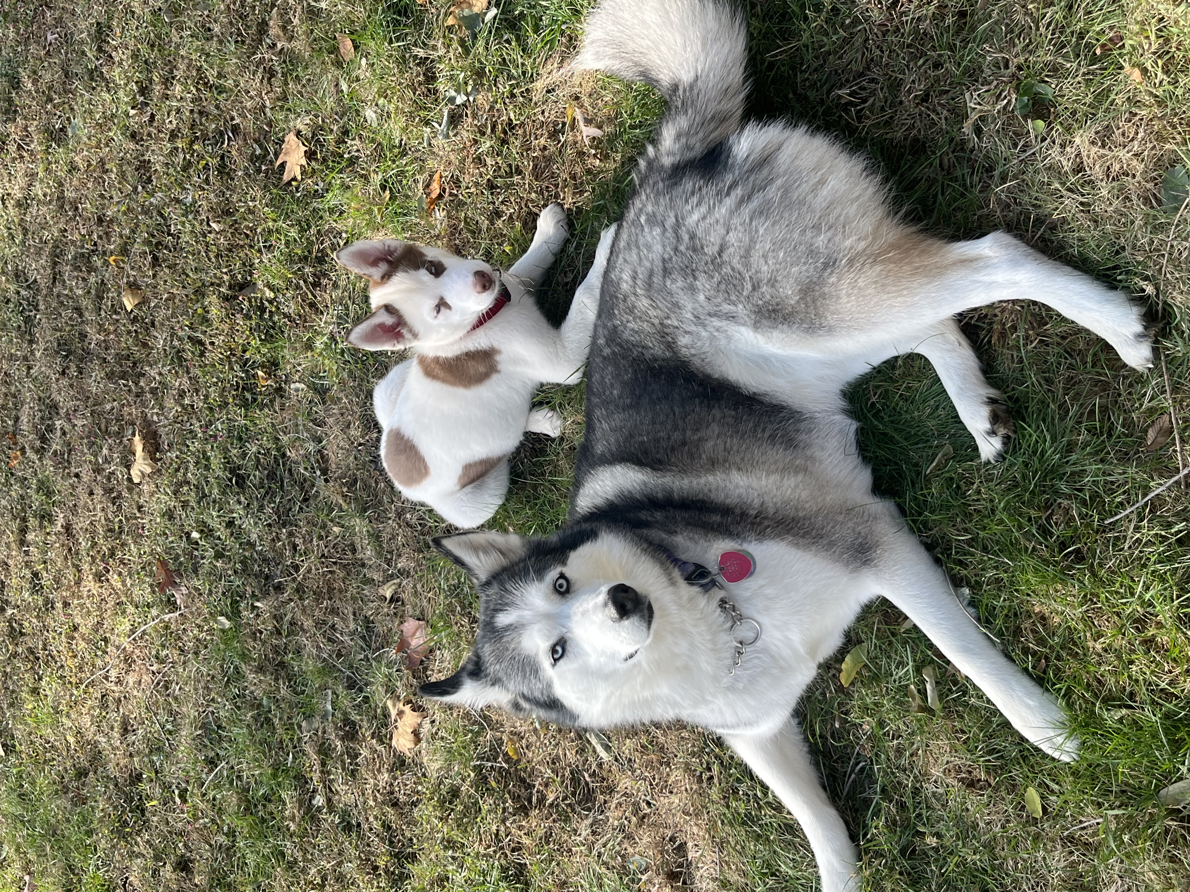 Photo Review Submission from Amanda Schoen