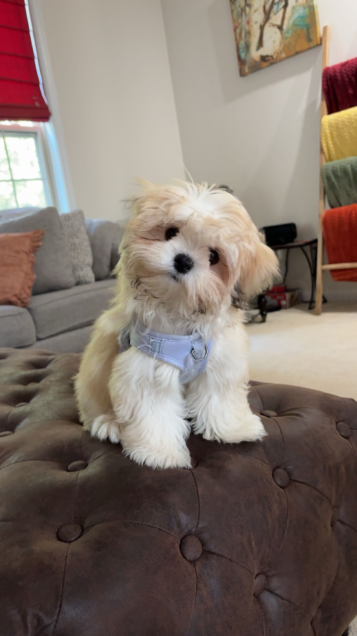 Photo Review Submission from Kristina S.