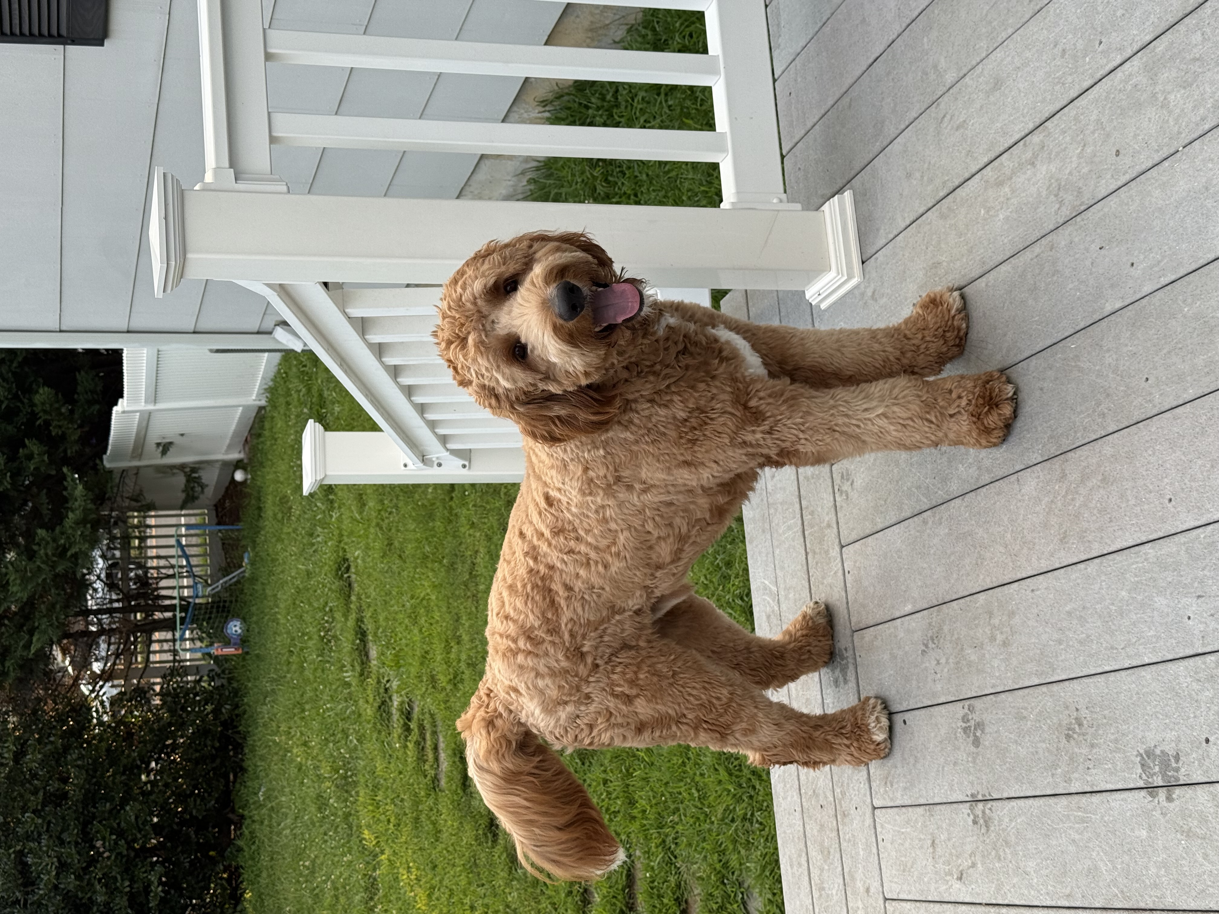 Photo Review Submission from Nataly Curry