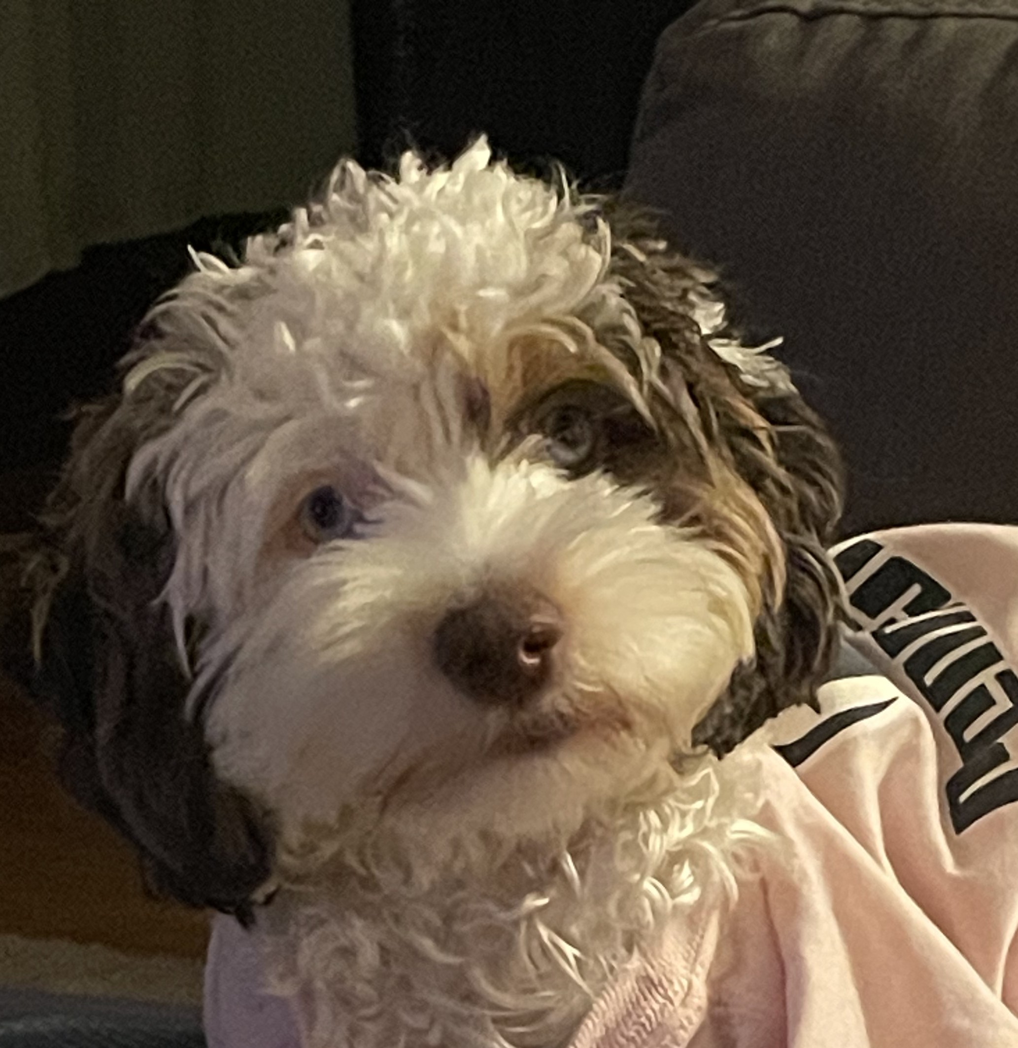 Photo Review Submission from Molly Nolt