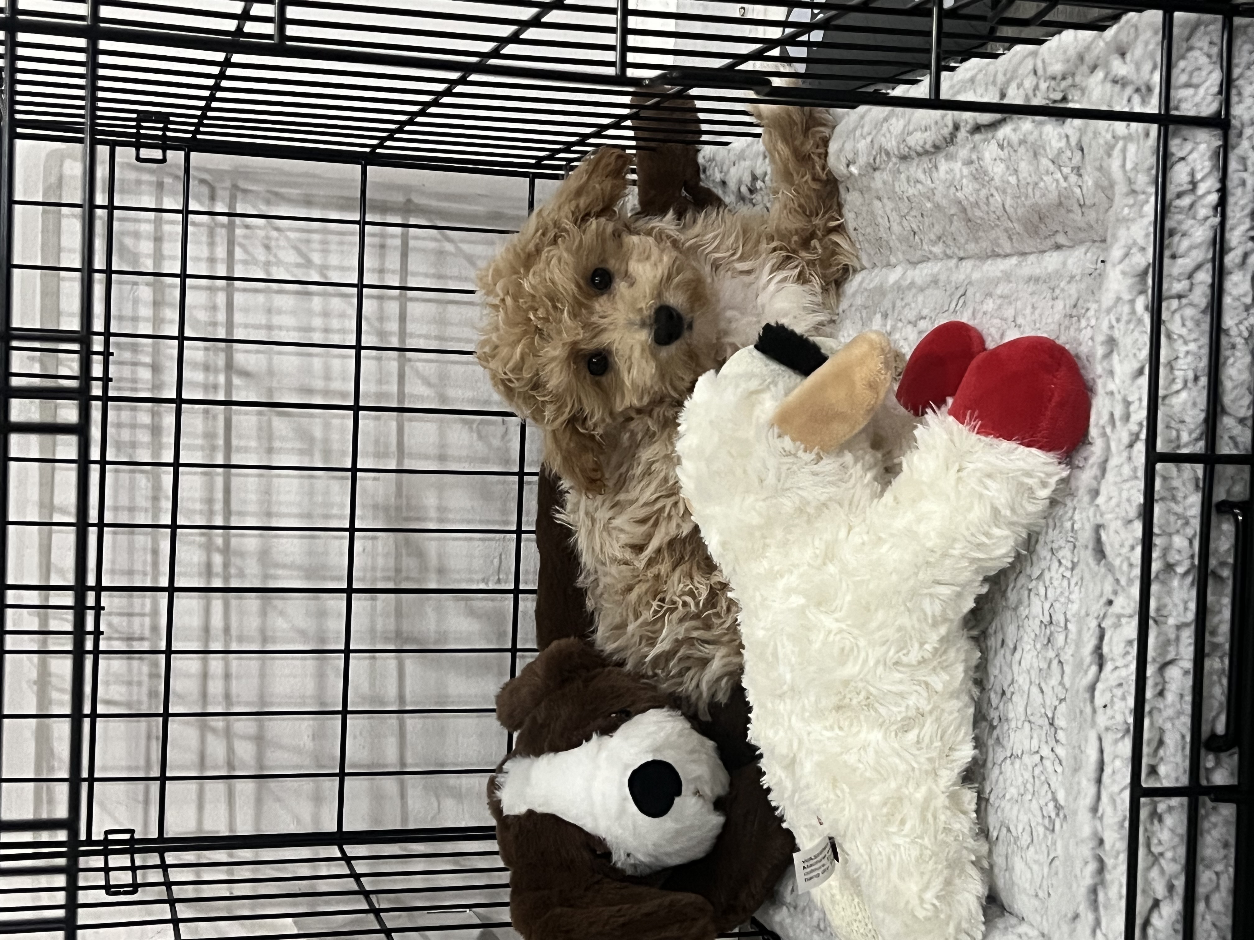 Photo Review Submission from Brittany Stephens