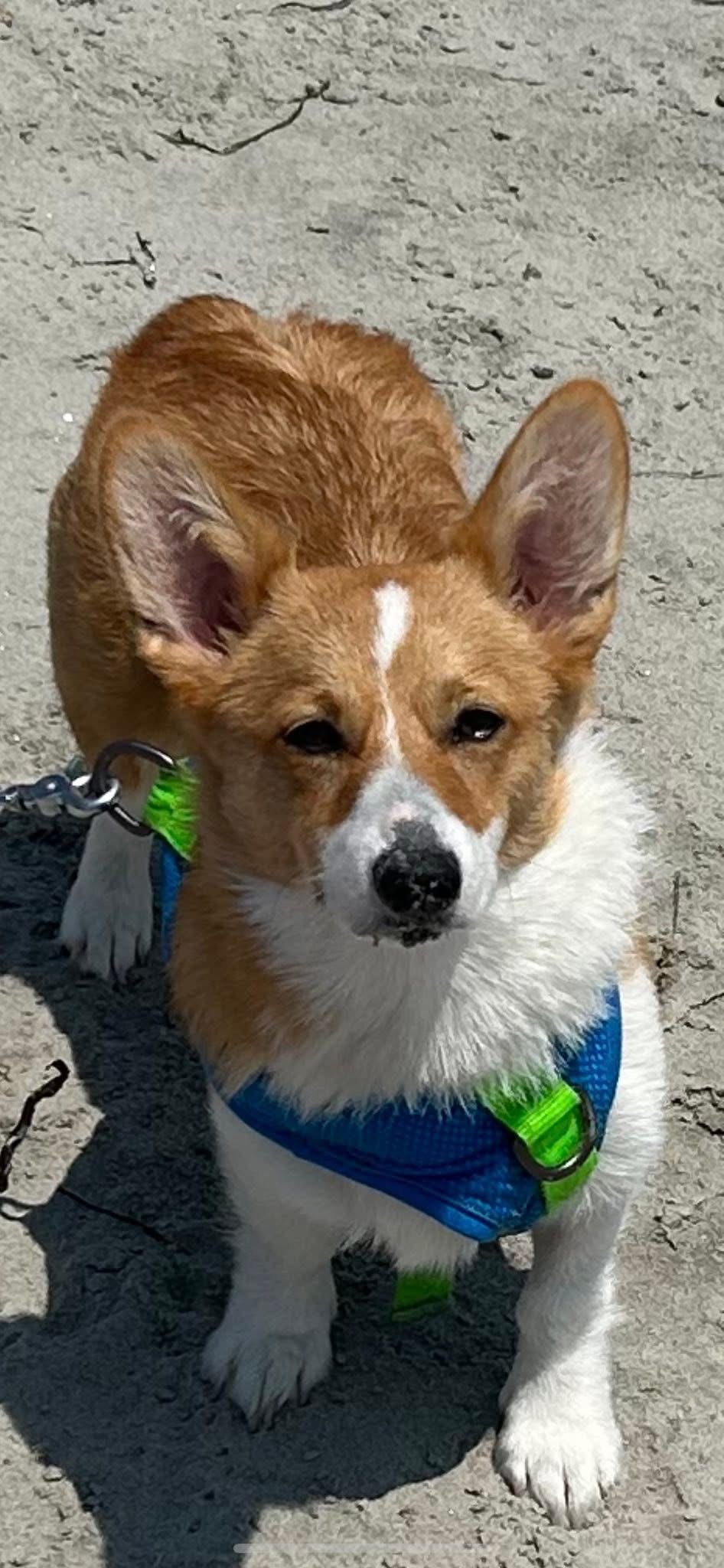 Photo Review Submission from Cheryl Bailey