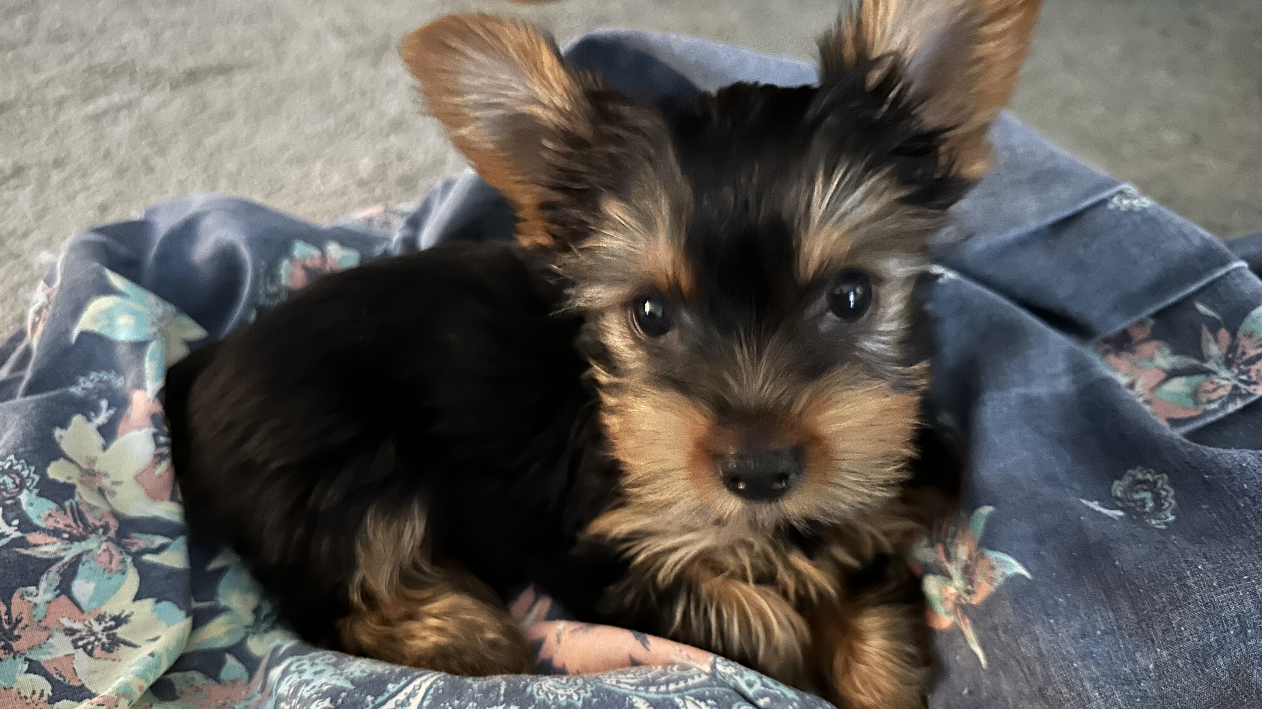 Photo Review Submission from Terri H