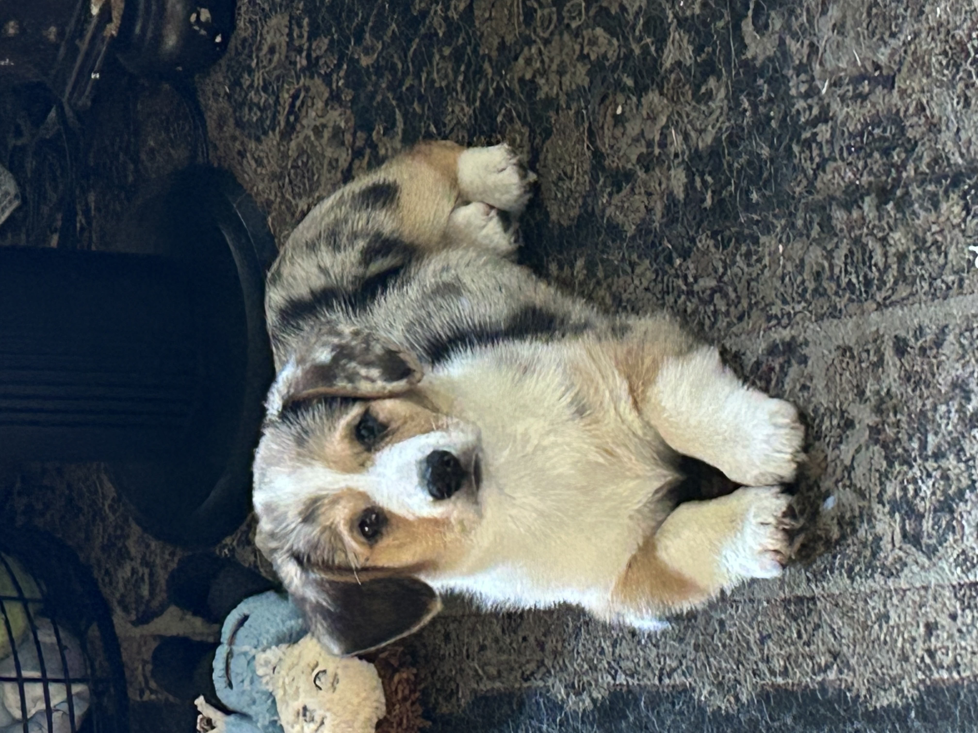 Photo Review Submission from Kerri Federici