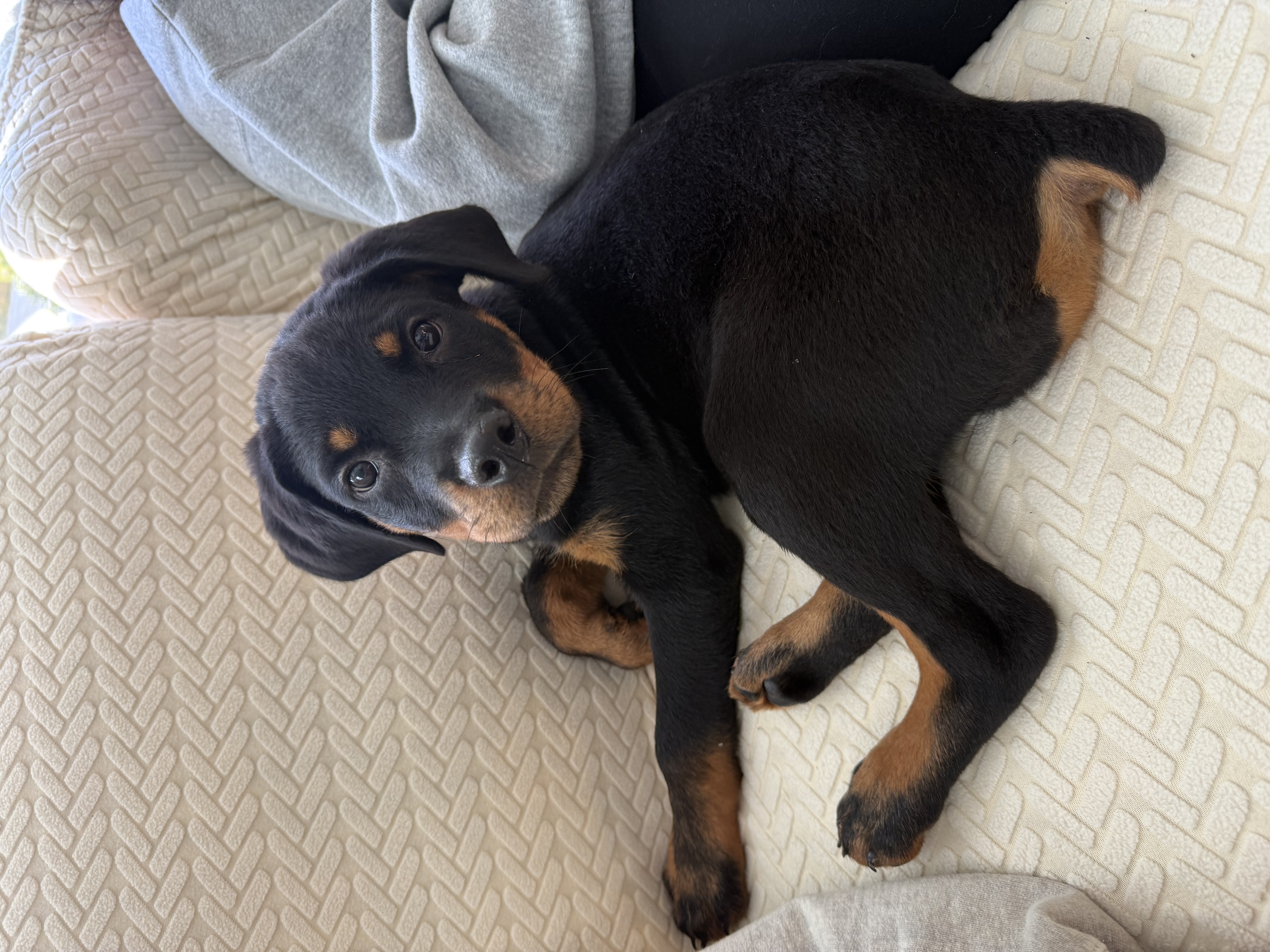 Photo Review Submission from Jessica Loeb