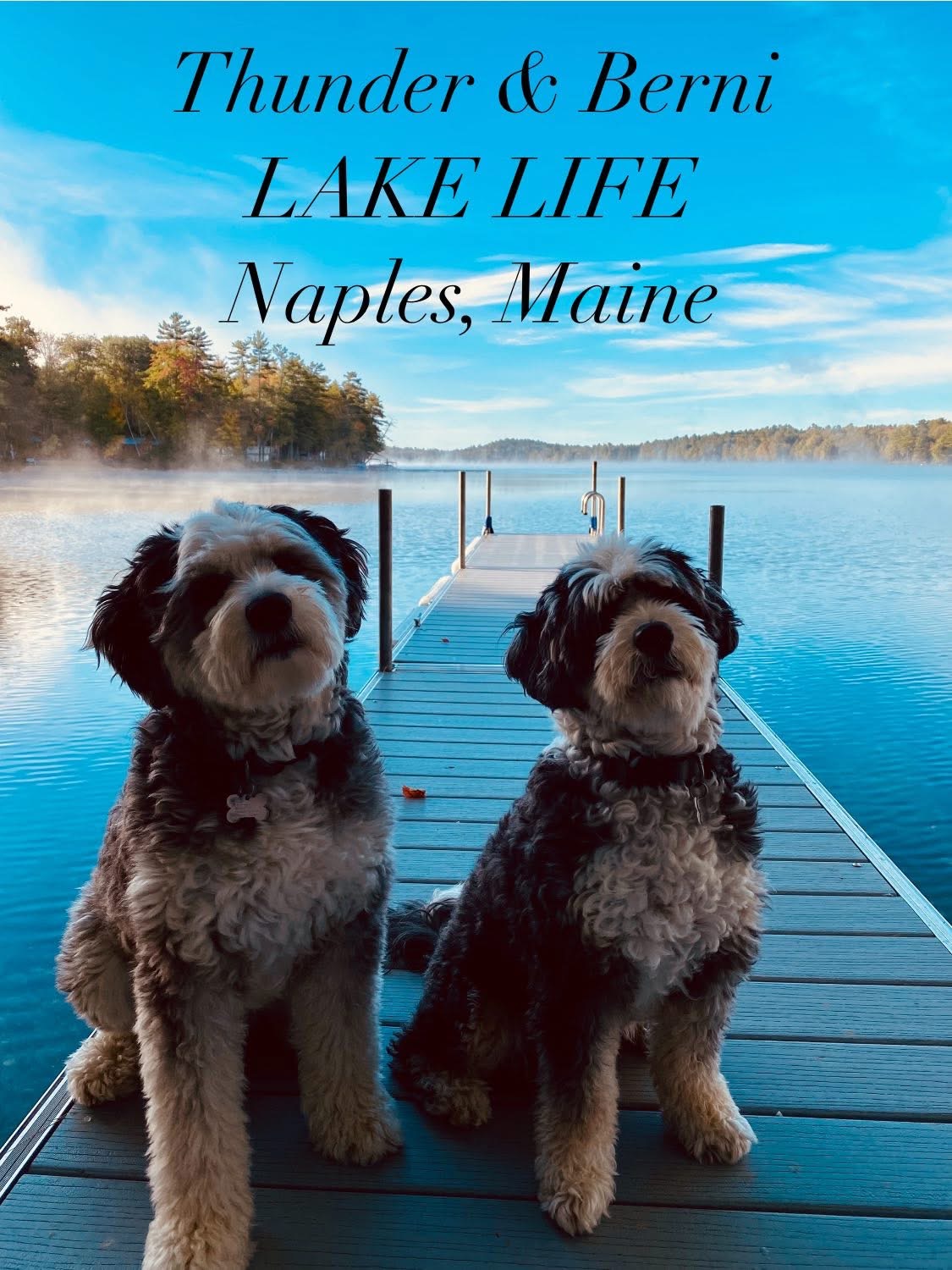 Photo Review Submission from Carrie Martin