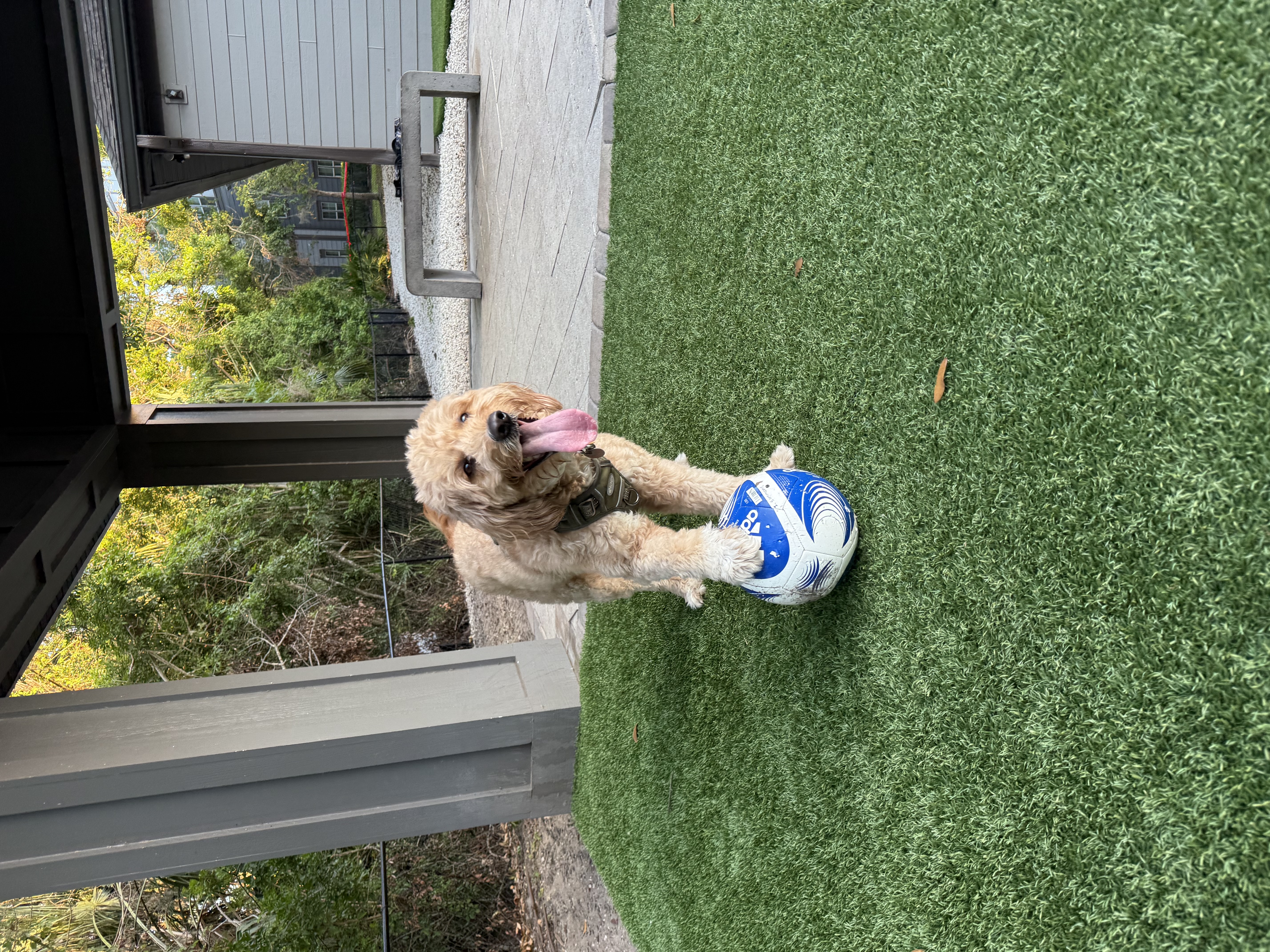 Photo Review Submission from Izzy Simmons