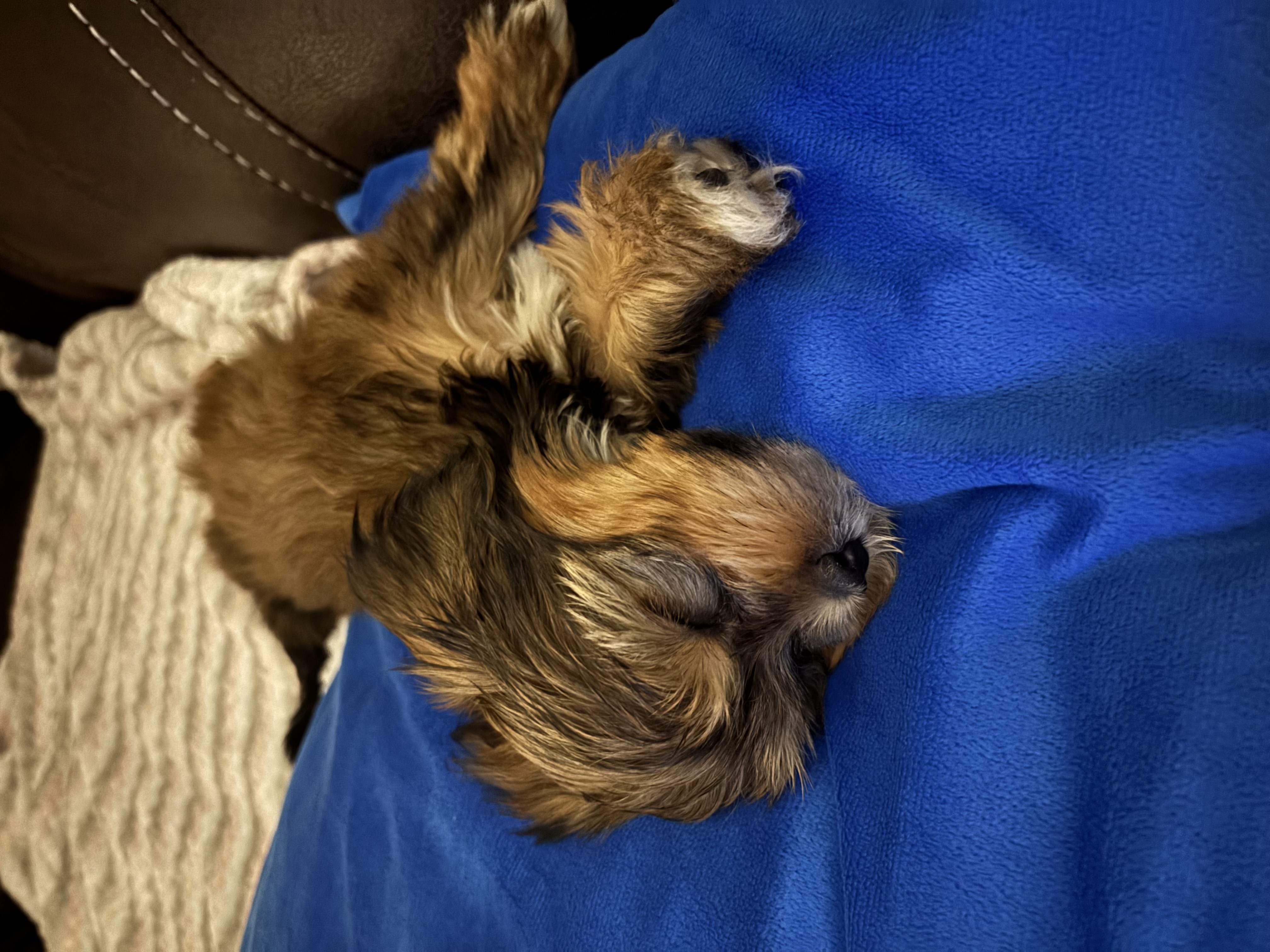 Photo Review Submission from Madison Bukics