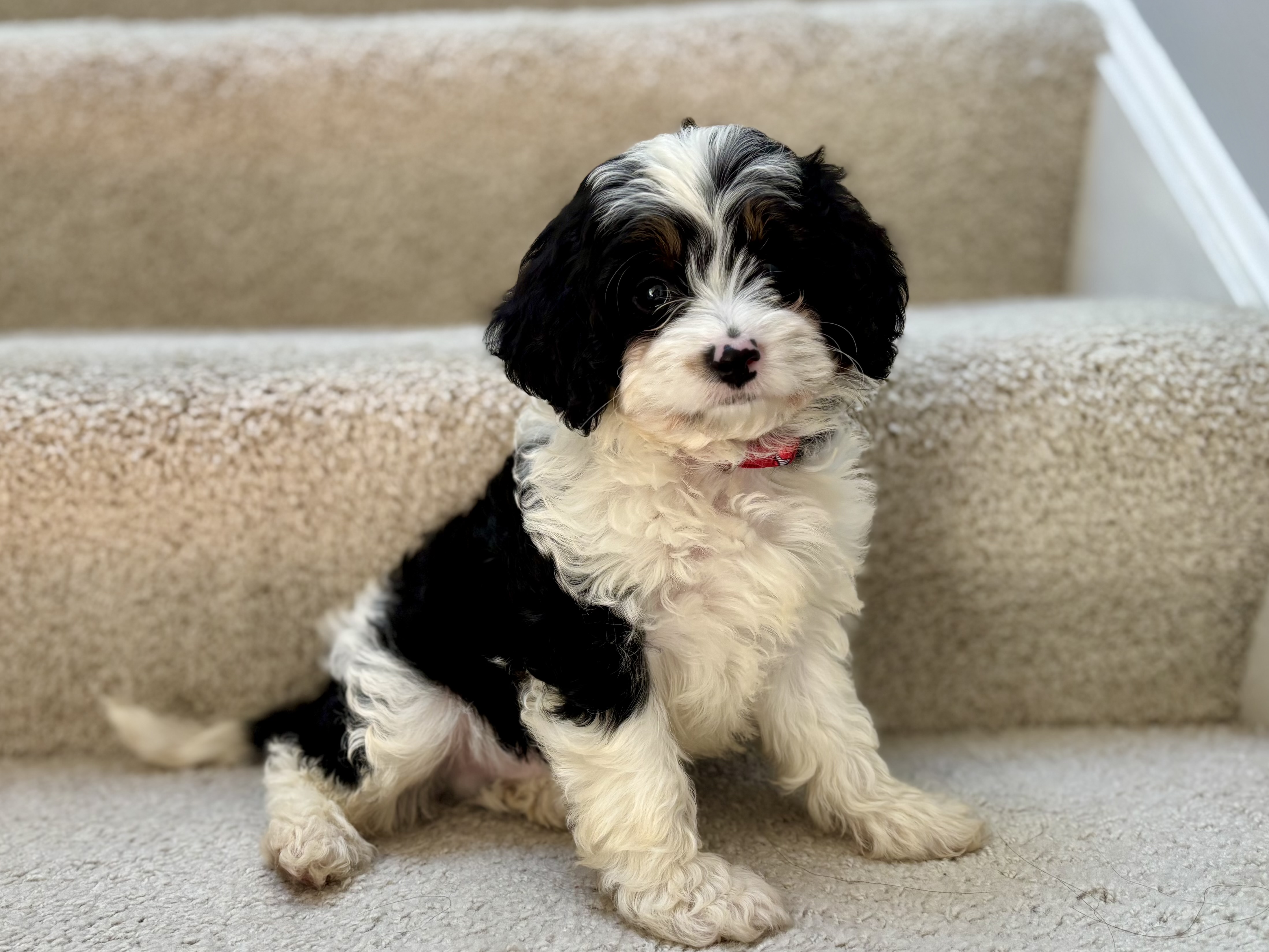 Photo Review Submission from Marie Rader