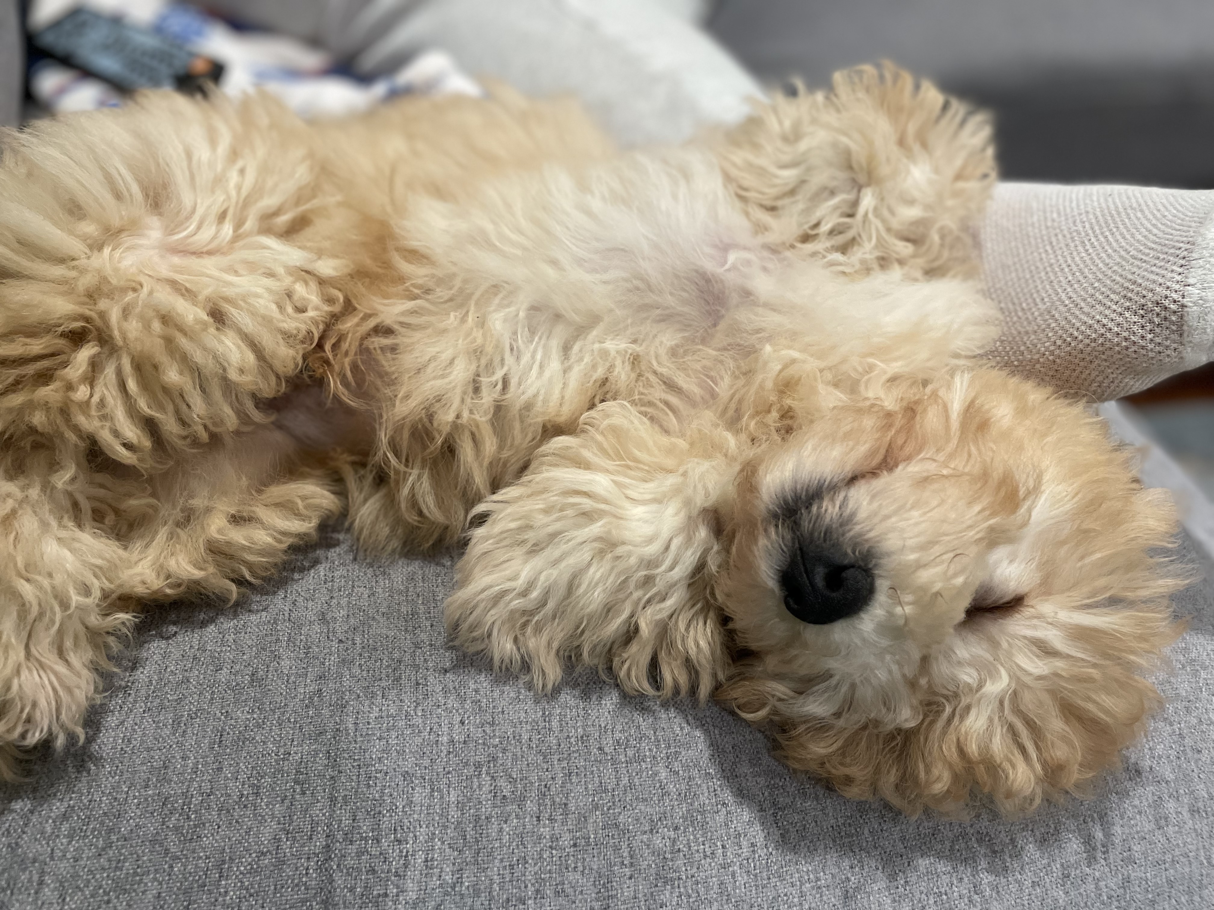 Photo Review Submission from Gabriella E