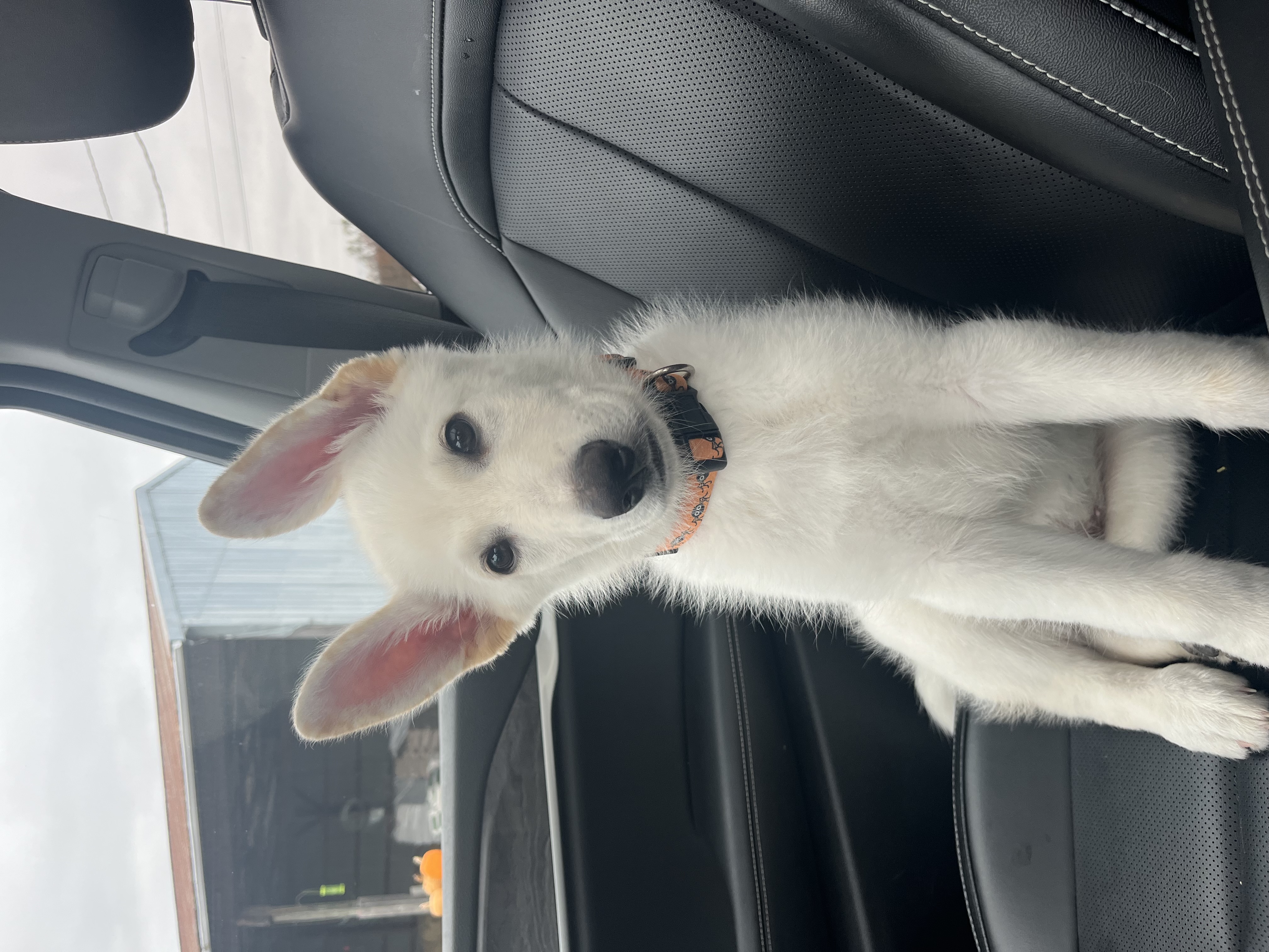 Photo Review Submission from Lauren Calvey