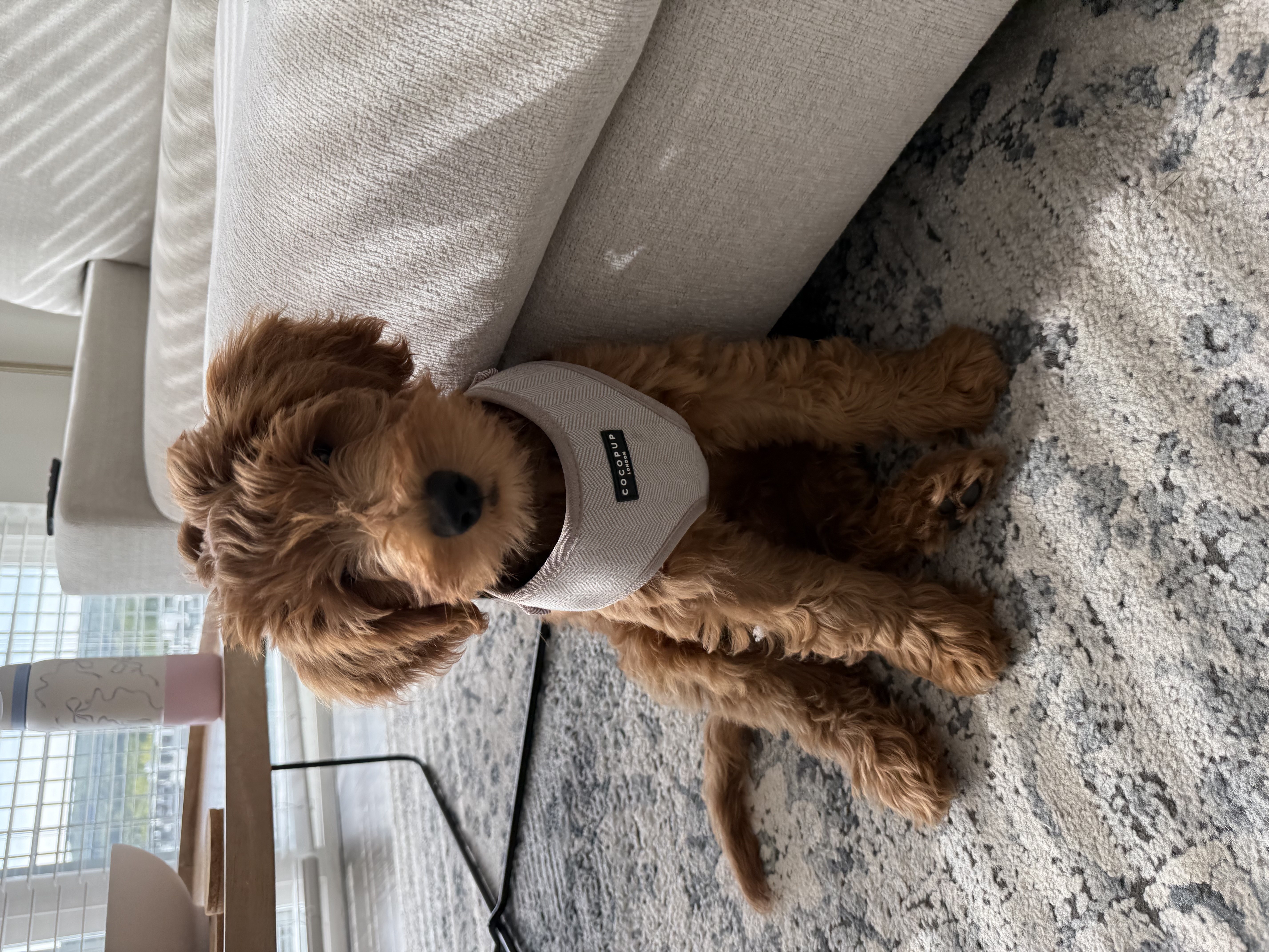 Photo Review Submission from Gillian Cole