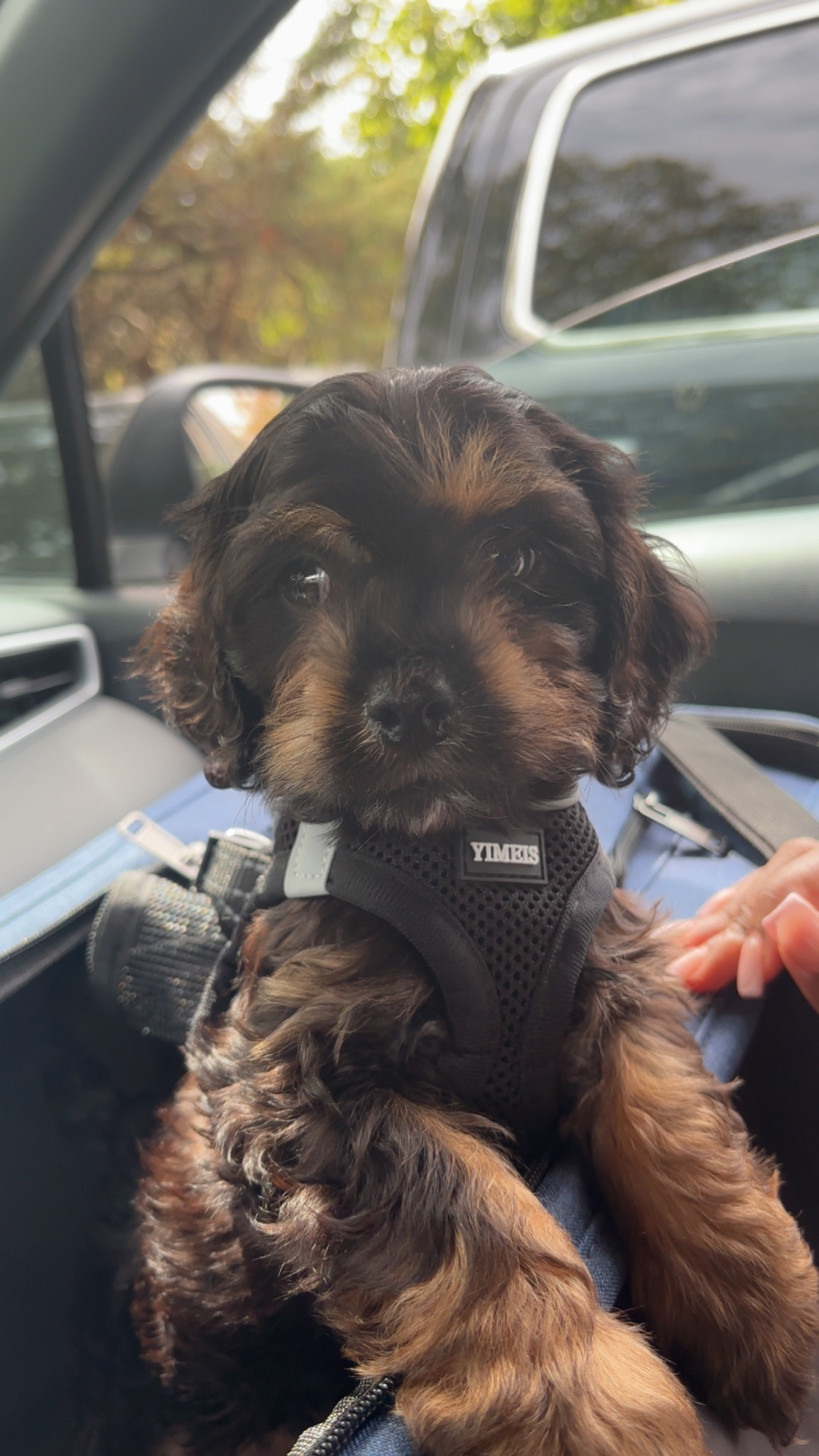 Photo Review Submission from Darnell P