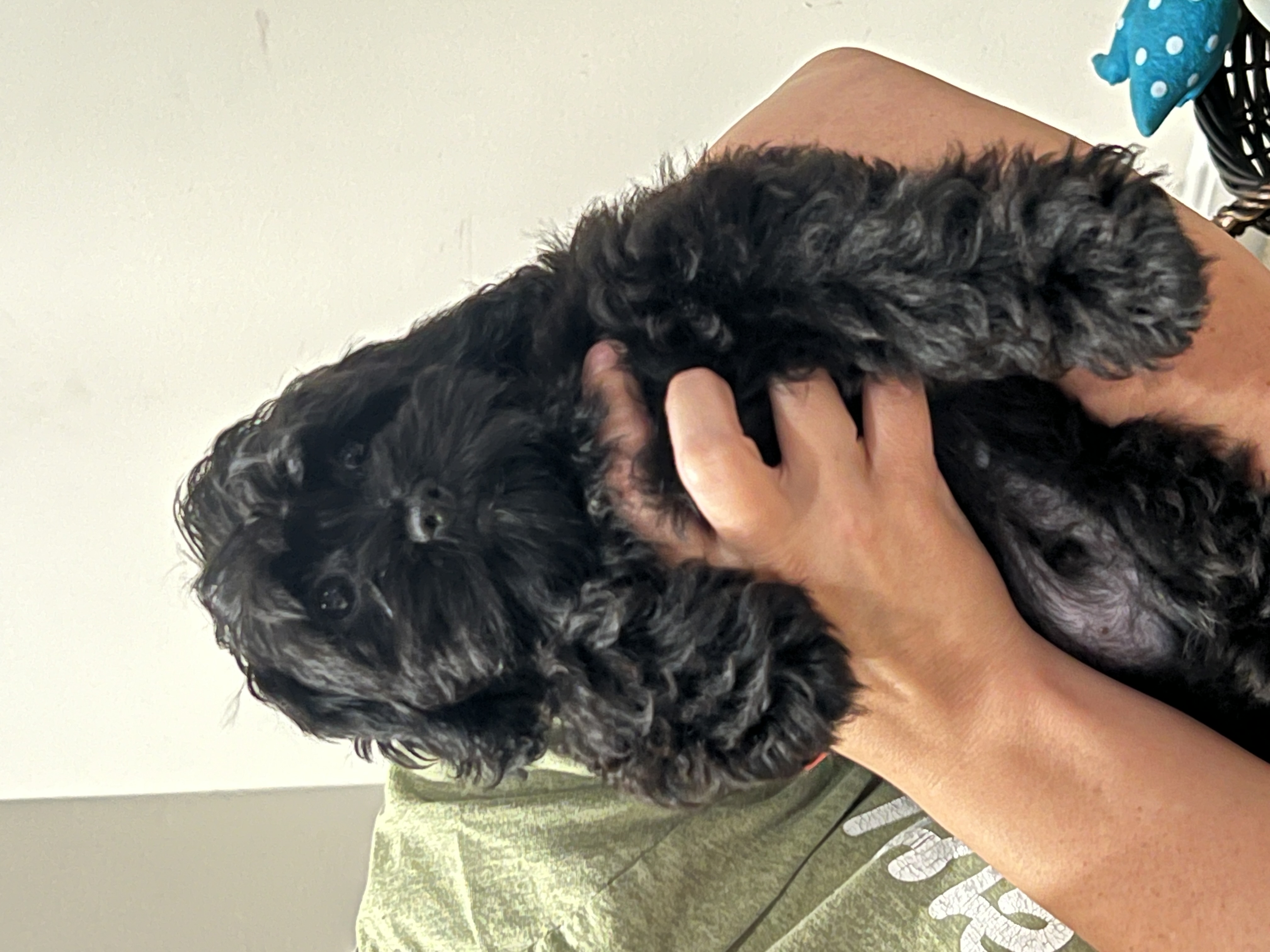 Photo Review Submission from Kristina S.