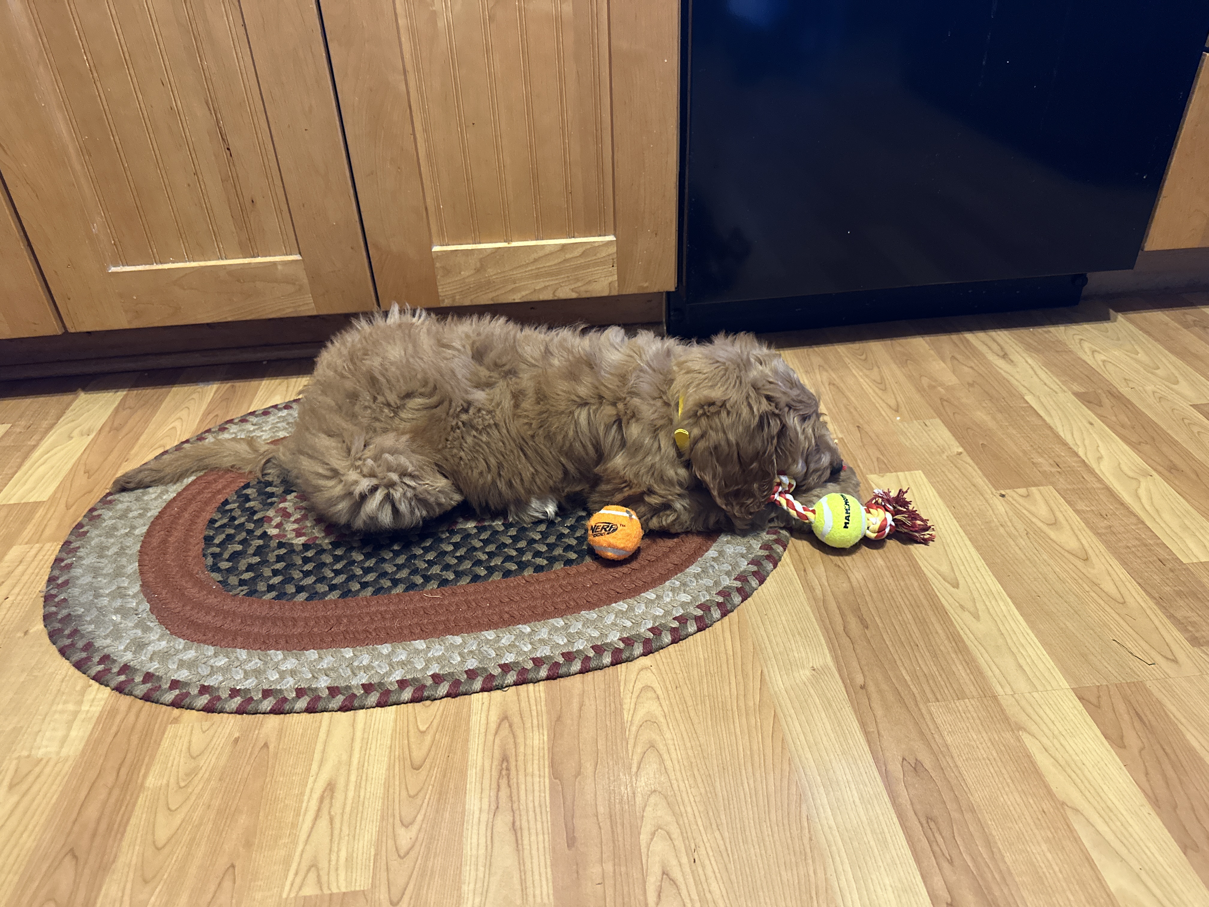 Photo Review Submission from Dave Pfeiffer