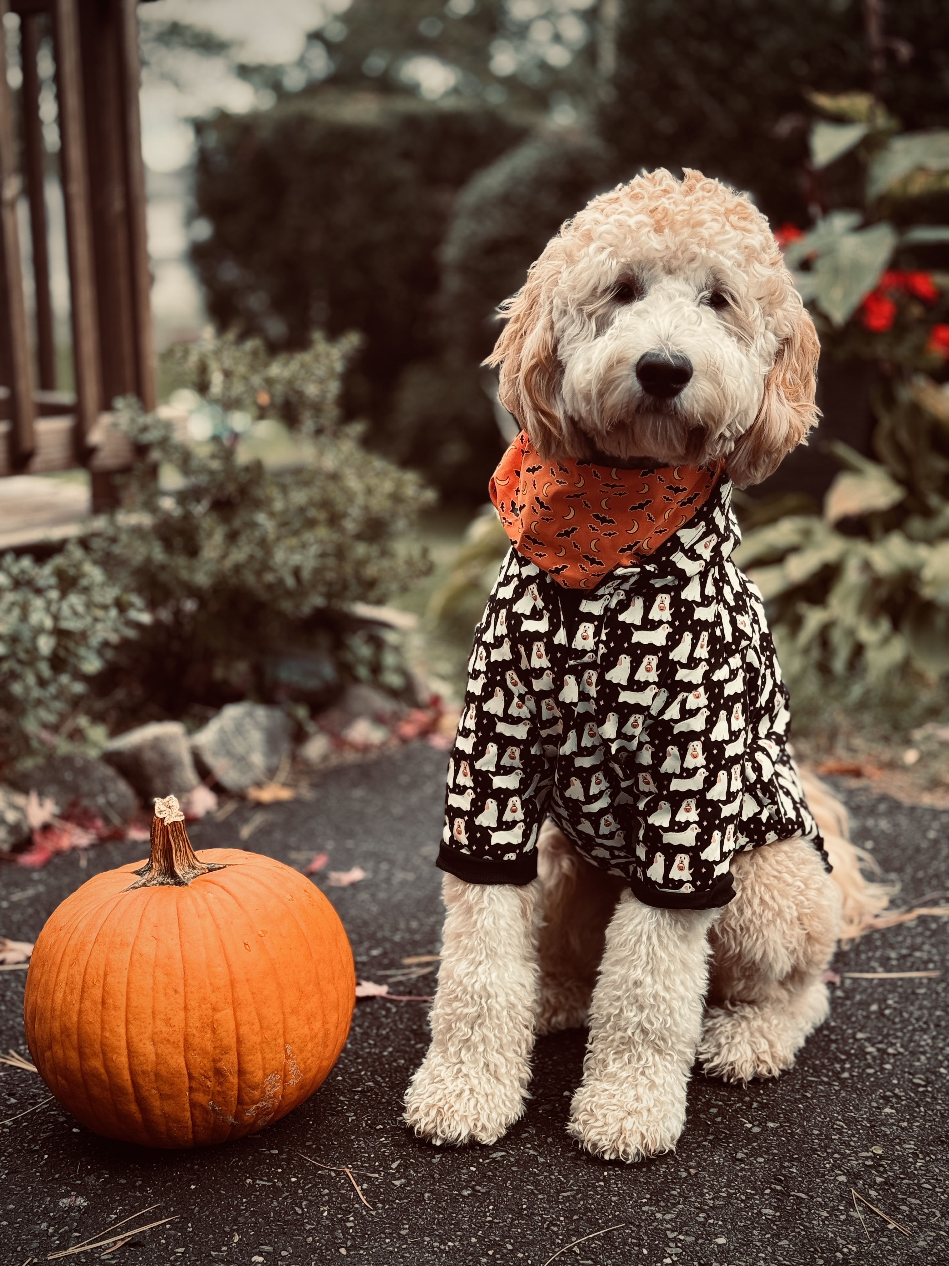 Photo Review Submission from Natalia W