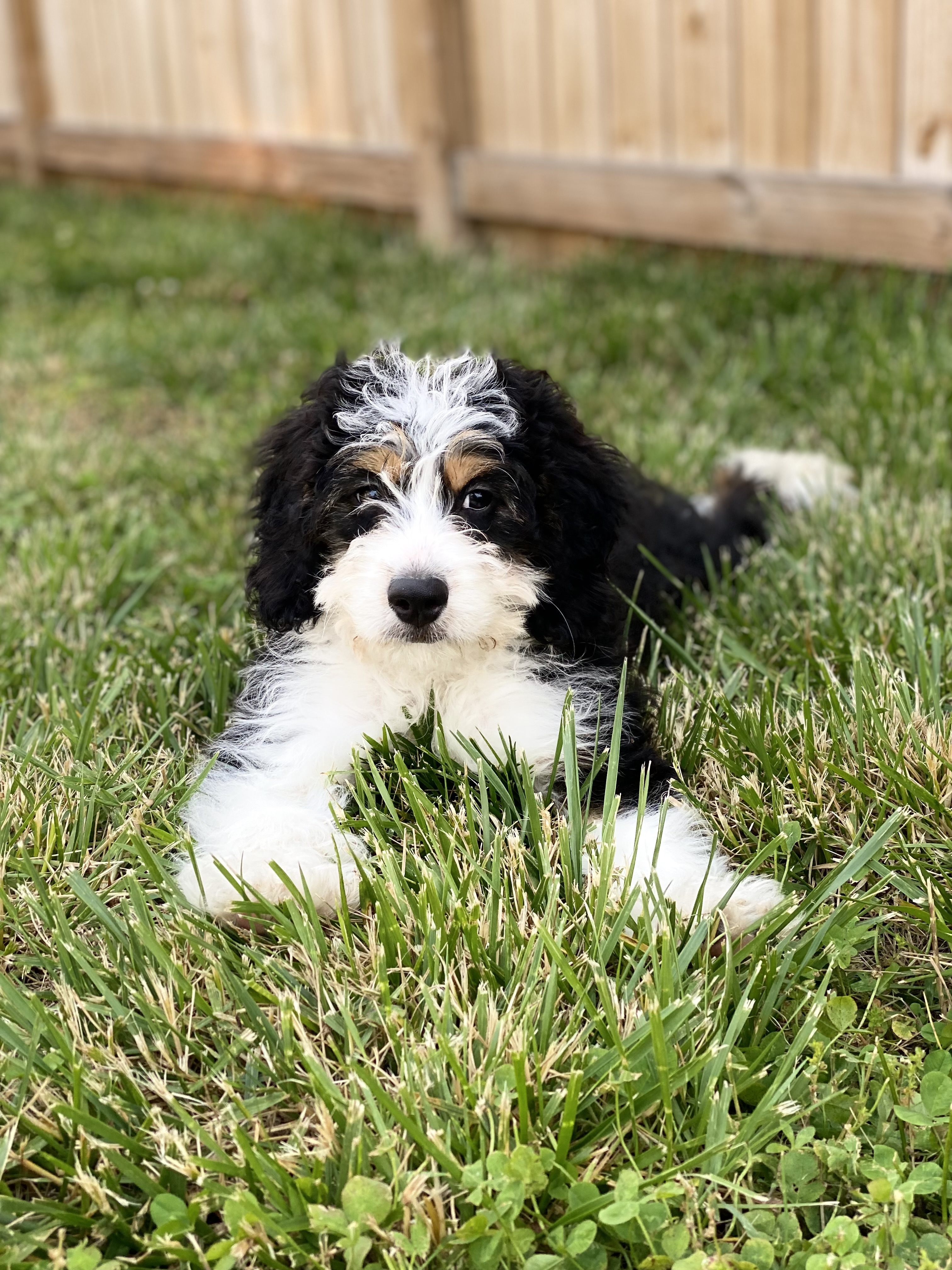 Photo Review Submission from Stephanie Wilson