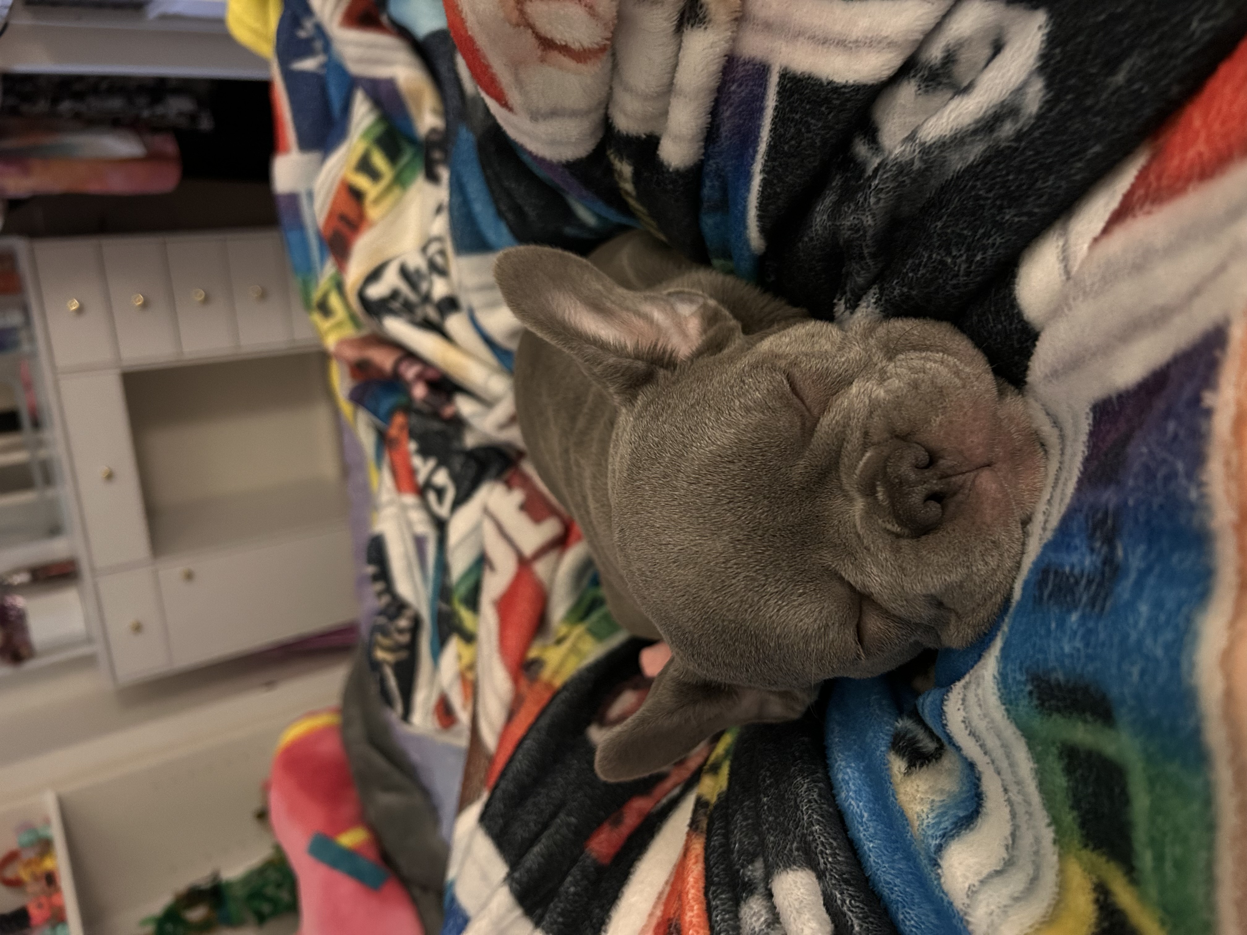 Photo Review Submission from Julz Donis