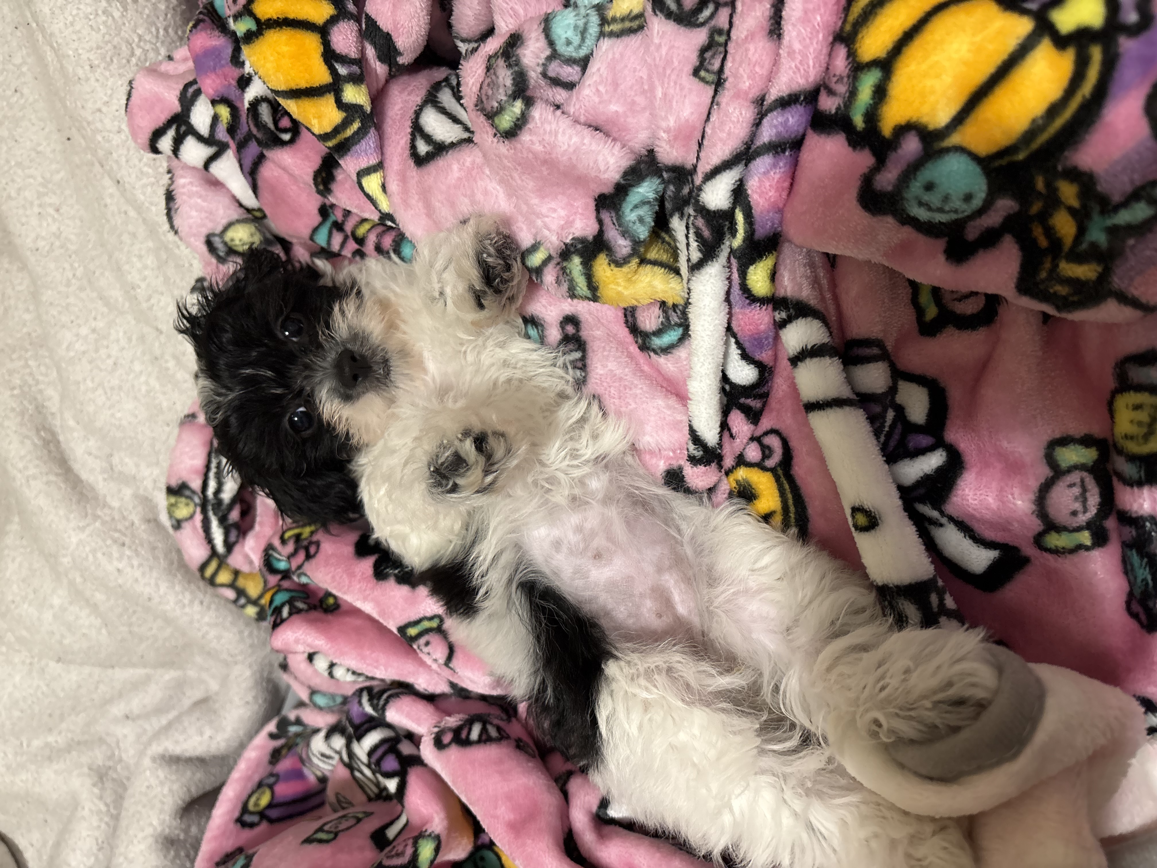 Photo Review Submission from Karla Quito