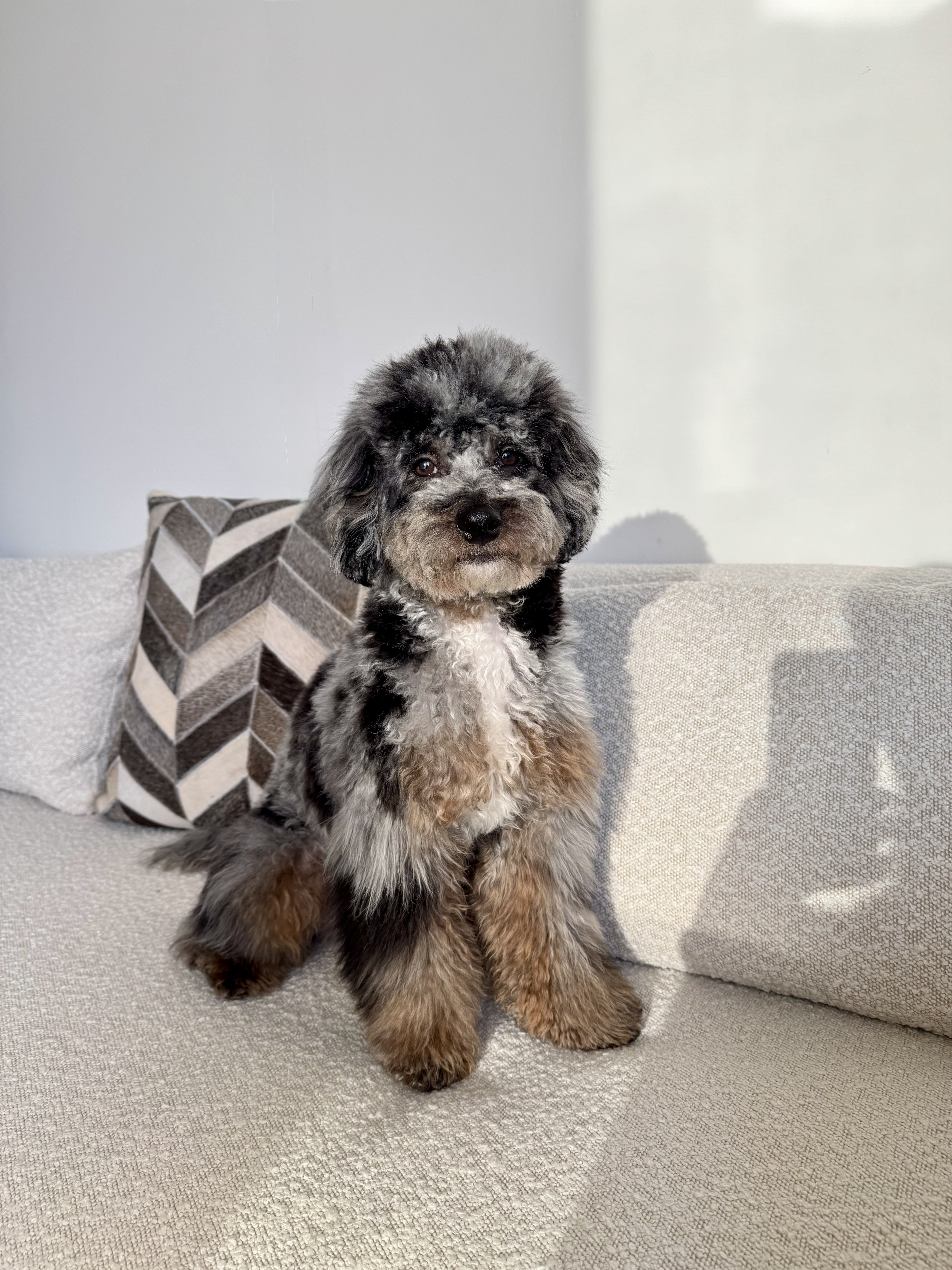 Photo Review Submission from Maya Hussey